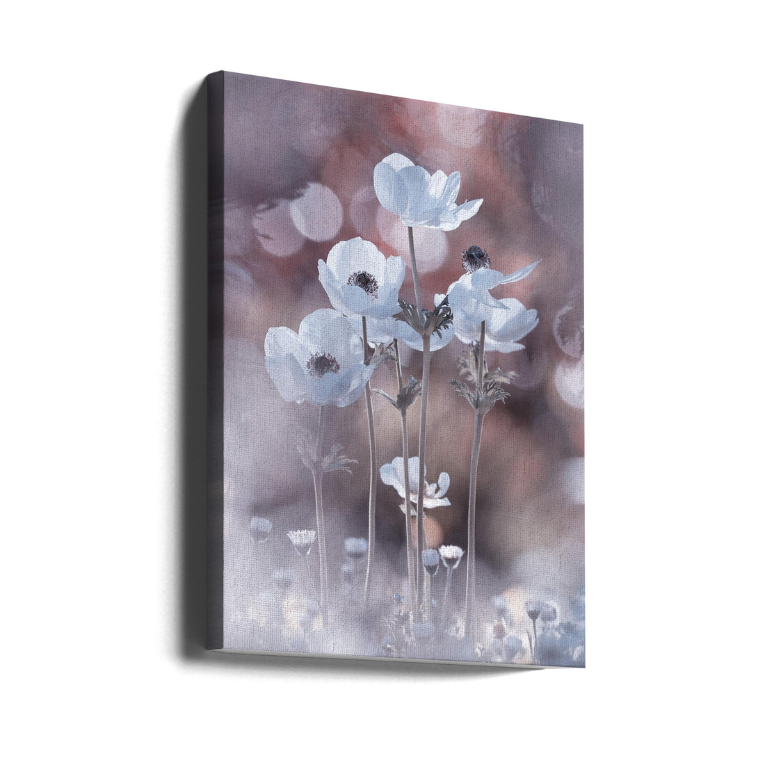 All the flowers of all the tomorrows are in the seeds of today by Fabien Bravin | Pastel Floral Macro, Large Canvas Wall Art Print | Artsy Earth