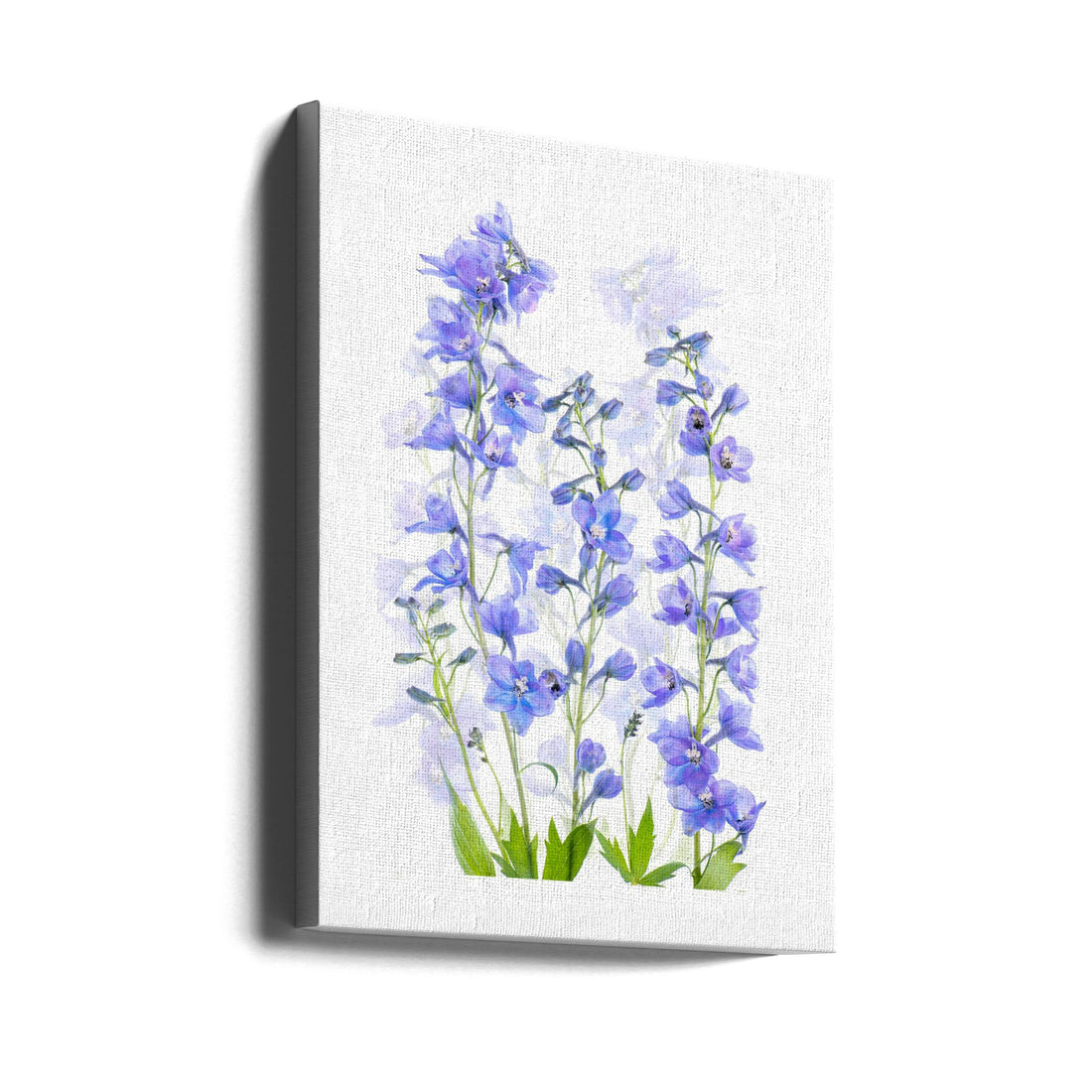 Delphinium Flower by Jacky Parker | Blue Spring Flora, Large Canvas Wall Art Print | Artsy Earth