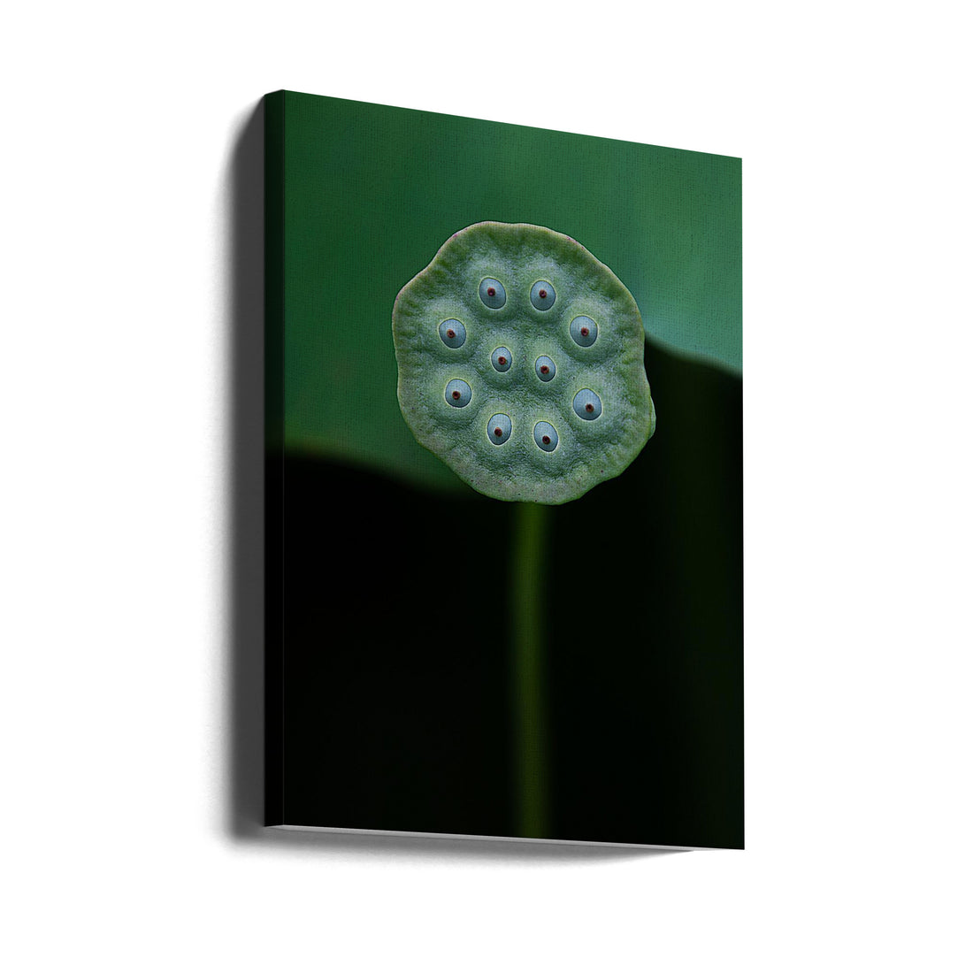 Green Lotus Macro by Yanny Liu | Zen Lotus Flora, Large Canvas Wall Art Print | Artsy Earth