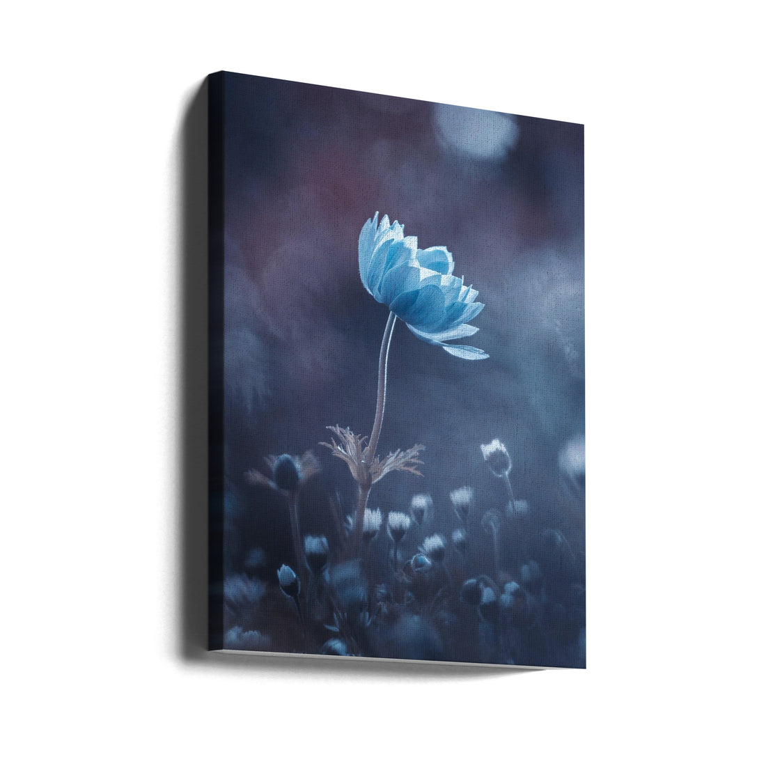 A Short Story of Flower by Fabien Bravin | Macro Floral Botanical, Large Canvas Wall Art Print | Artsy Earth