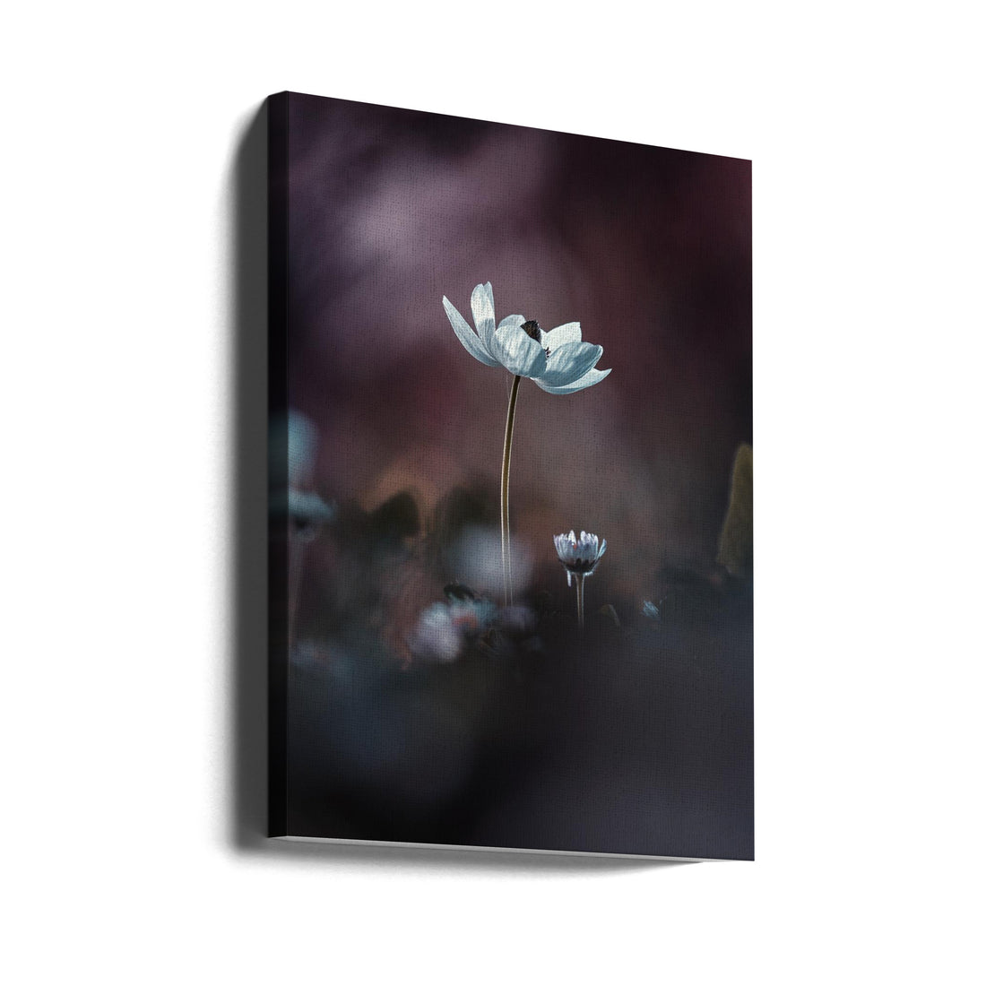 Floral Macro Art by Fabien Bravin | Botanical Garden Flowers, Large Canvas Wall Art Print | Artsy Earth