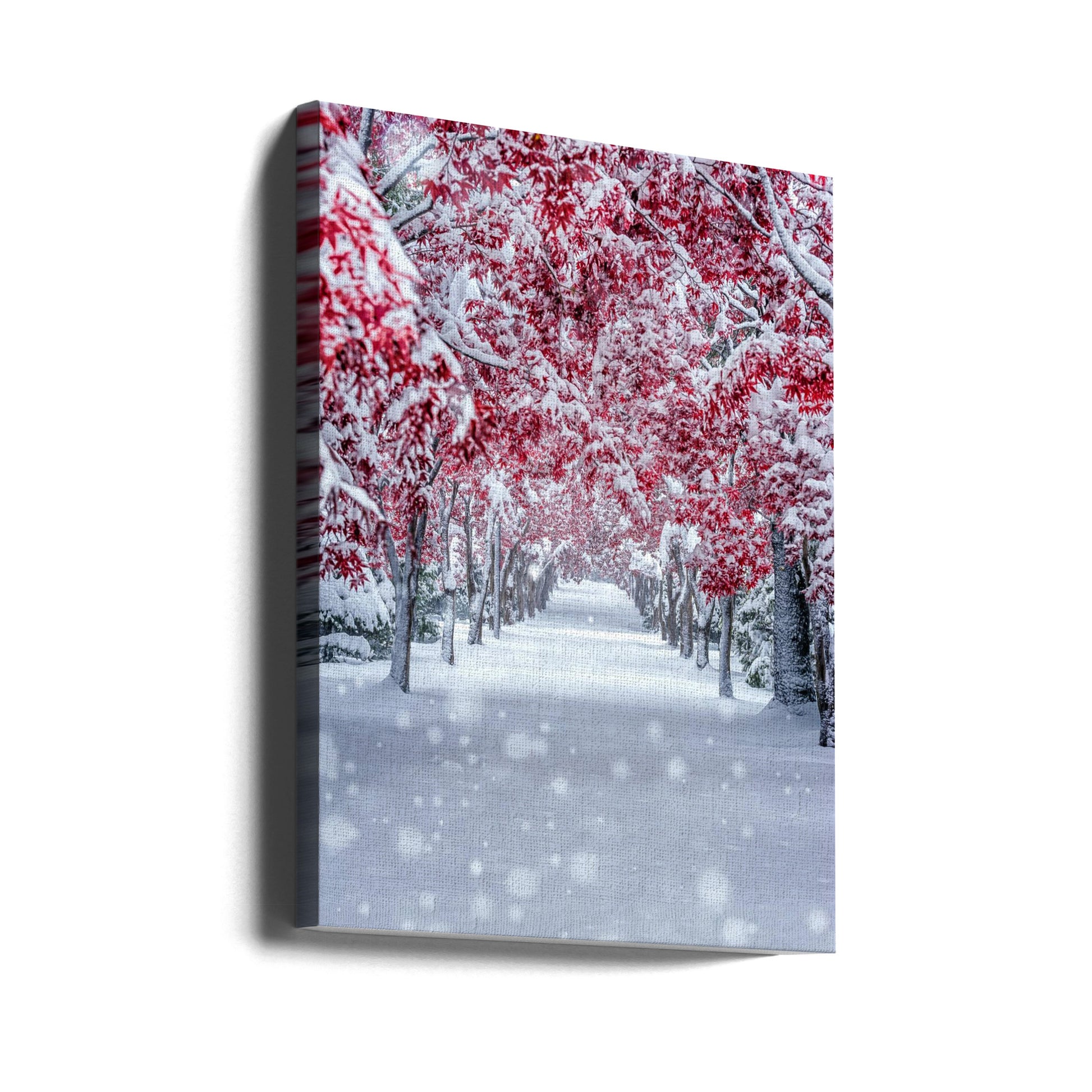 Snowy Maple Path by Yuusei Nagahata | Japanese Winter Landscape, Large Canvas Wall Art Print | Artsy Earth