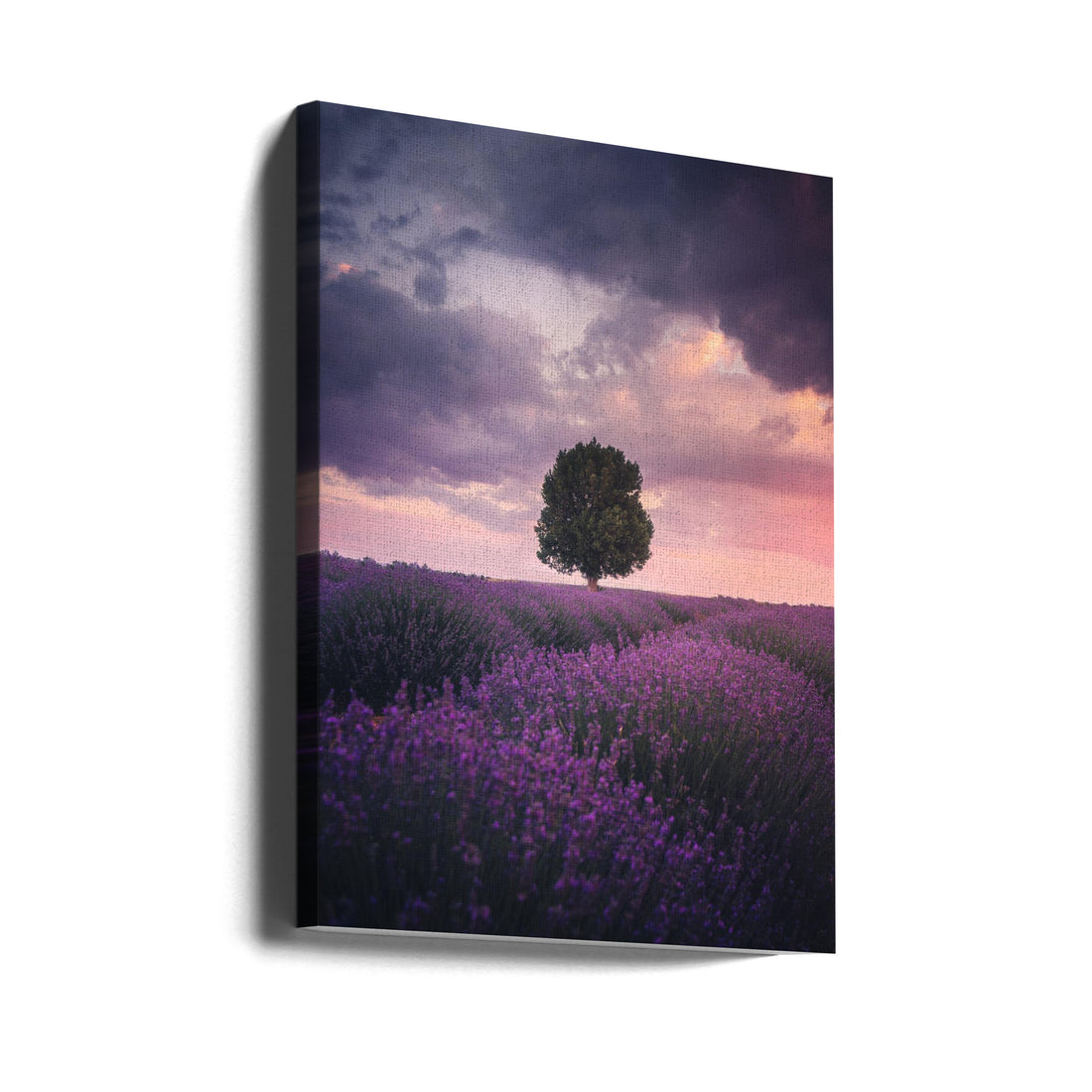 Lavender Fields by Cuma Cevik | Purple Landscape Countryside, Large Canvas Wall Art Print | Artsy Earth