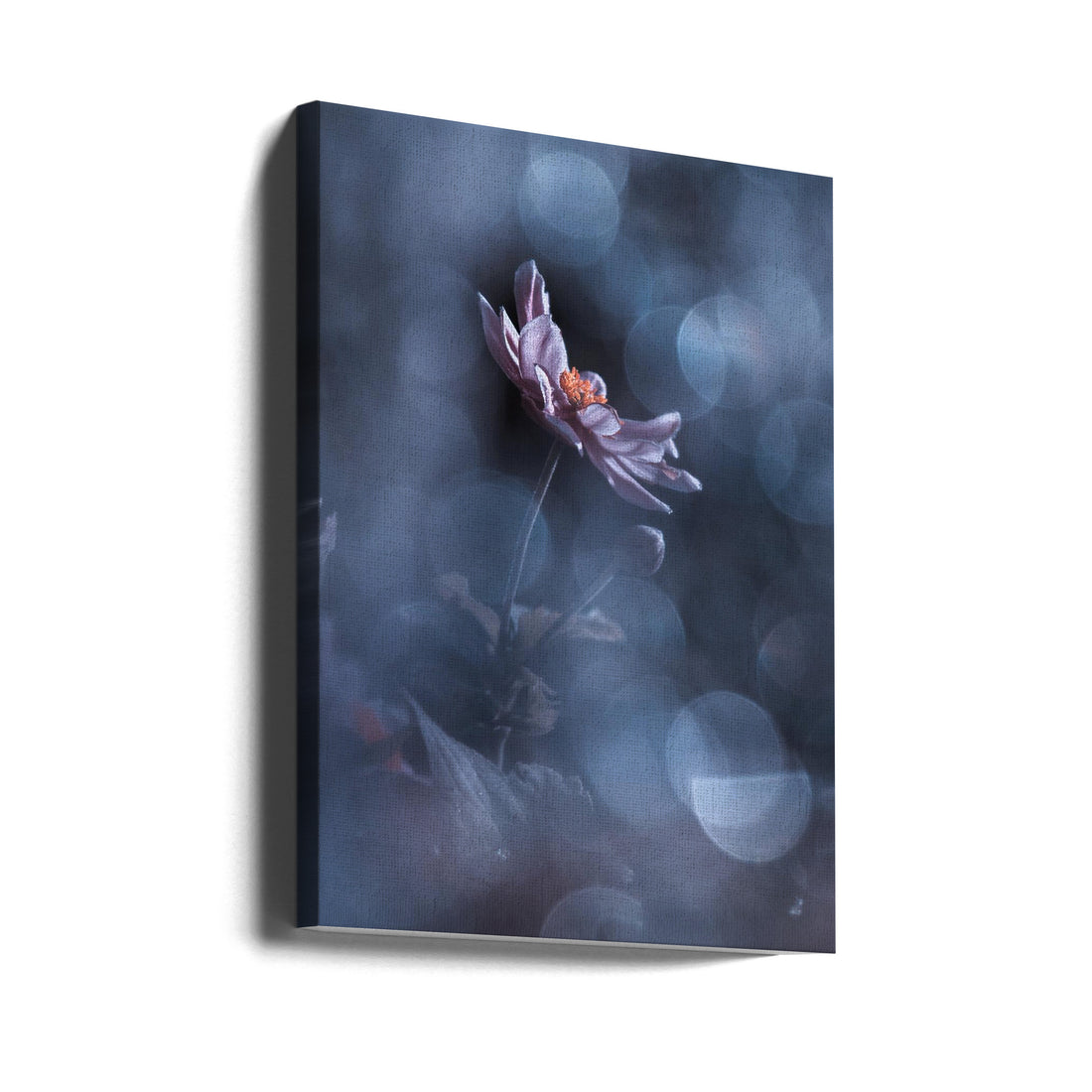 Dancing in the dark by Fabien Bravin | Floral Macro Closeup, Large Canvas Wall Art Print | Artsy Earth