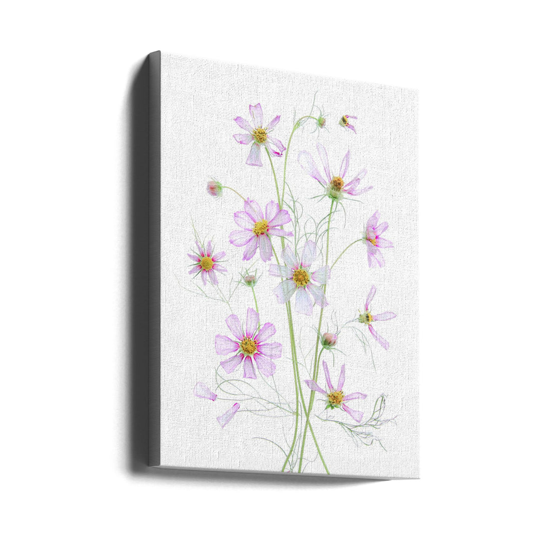 Cosmos Flowers by Fangping Zhou | Botanical Still Life, Large Canvas Wall Art Print | Artsy Earth