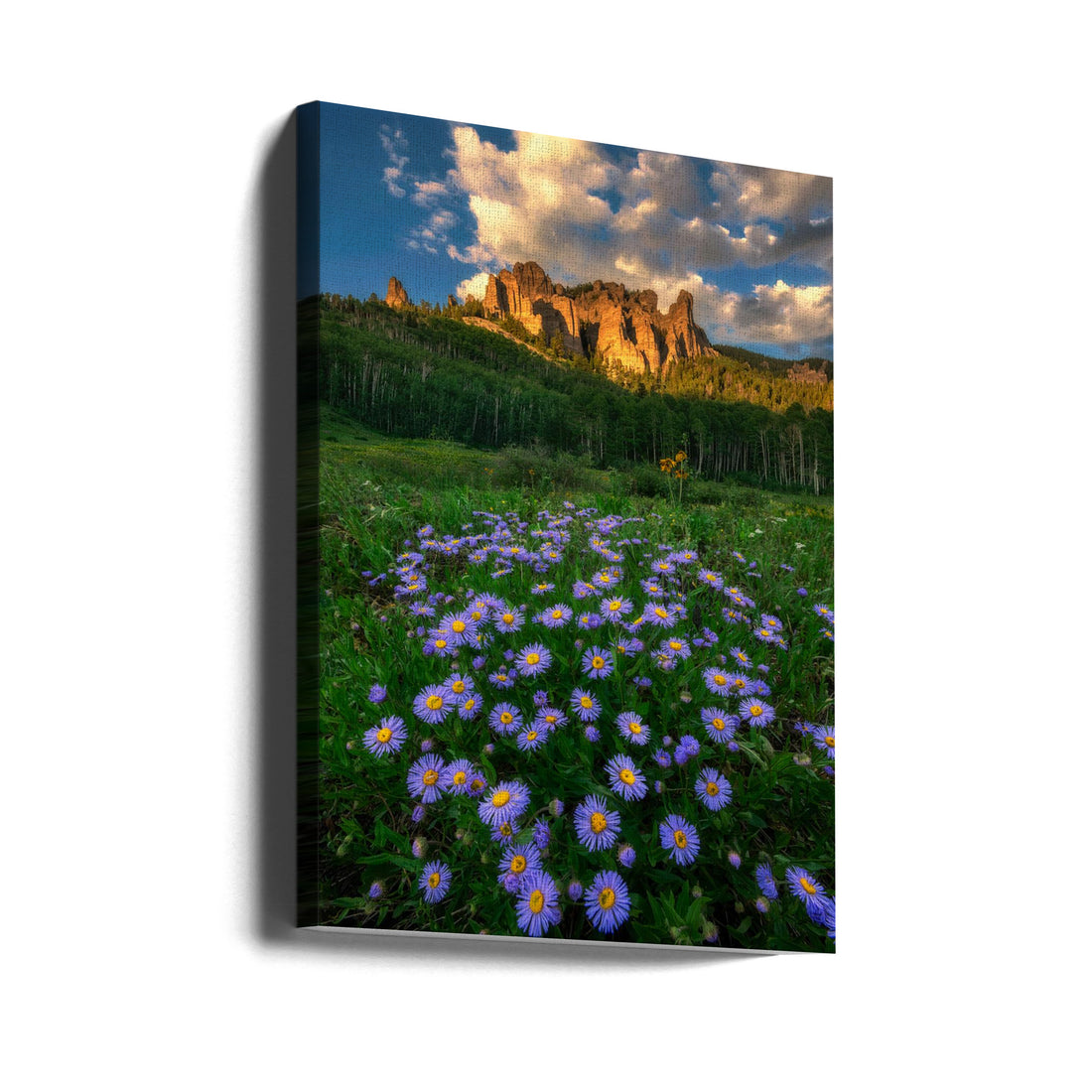 Canyon and Daisies by Mei Xu | Mountain Wildflower Landscape, Large Canvas Wall Art Print | Artsy Earth