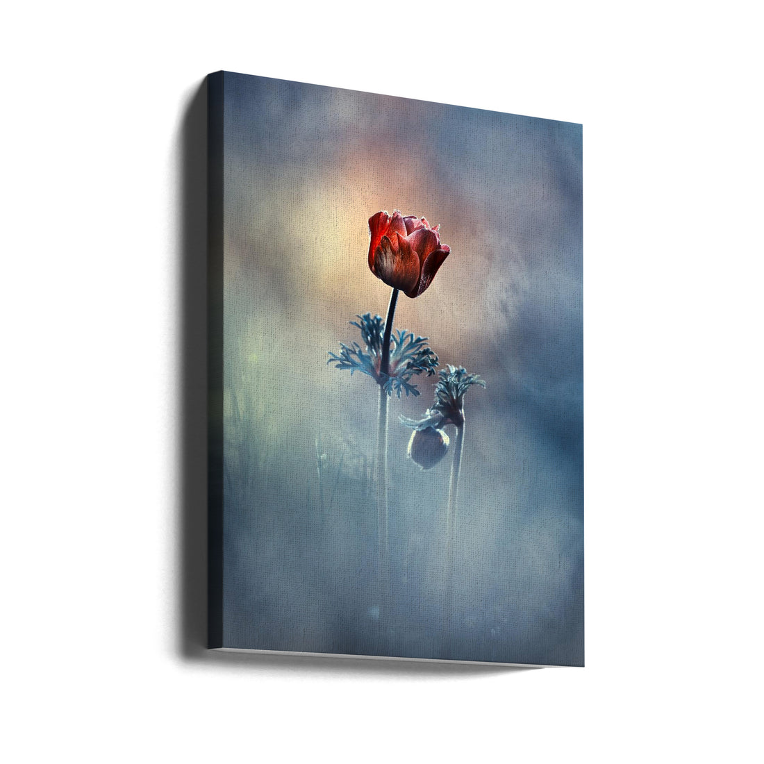 Where poetry and memories remain by Fabien Bravin | Romantic Floral Macro, Large Canvas Wall Art Print | Artsy Earth