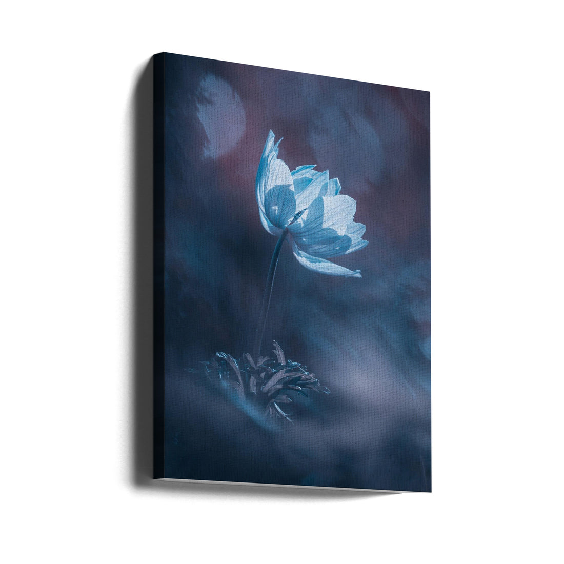 Dream On by Fabien Bravin | Floral Macro Botanical, Large Canvas Wall Art Print | Artsy Earth