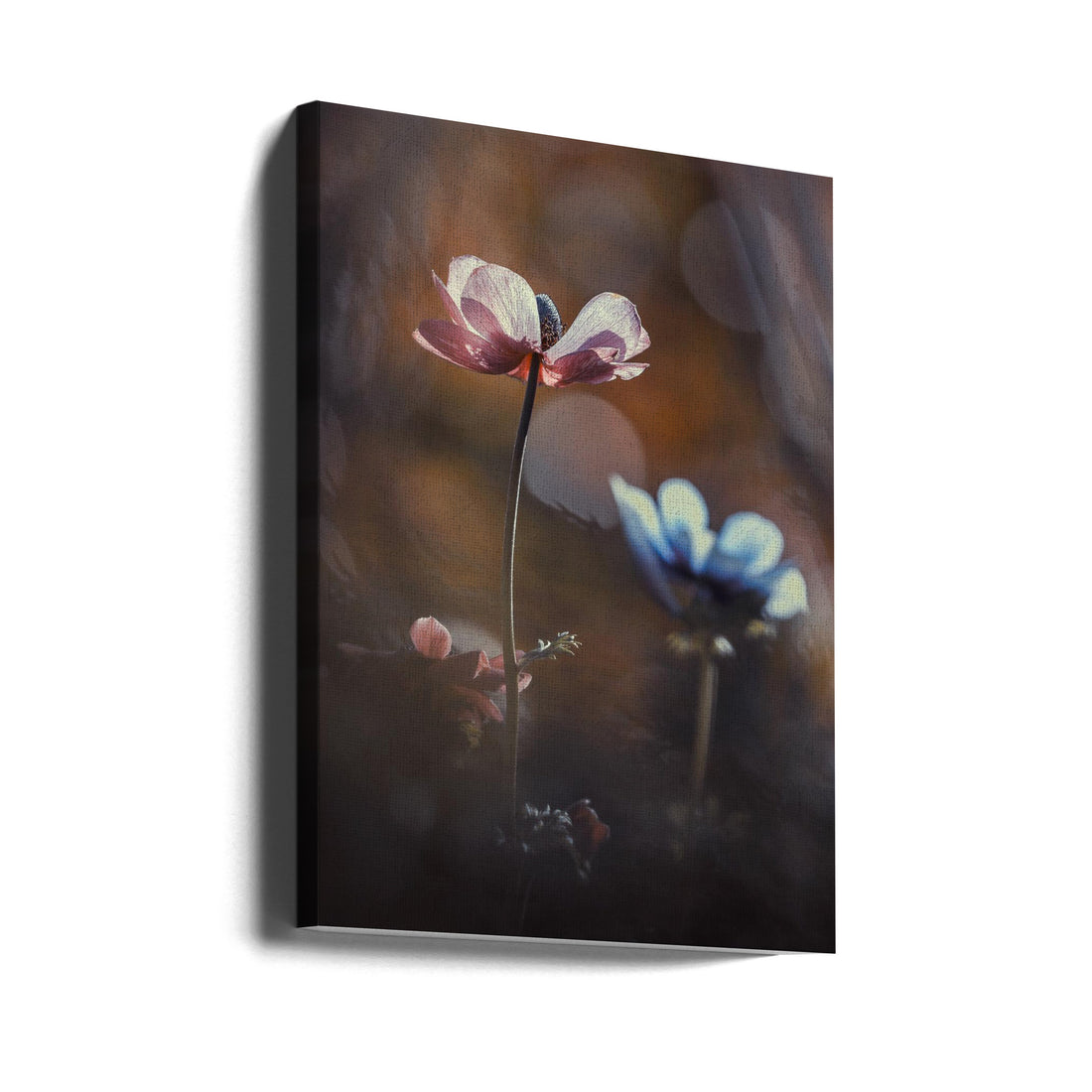 Floral Botanical Art by Fabien Bravin | Macro Flower Photography, Large Canvas Wall Art Print | Artsy Earth