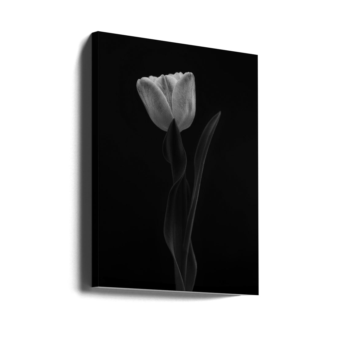 Dark Tulip Minimal by Lotte Grønkjær | Monochrome Floral Art, Large Canvas Wall Art Print | Artsy Earth