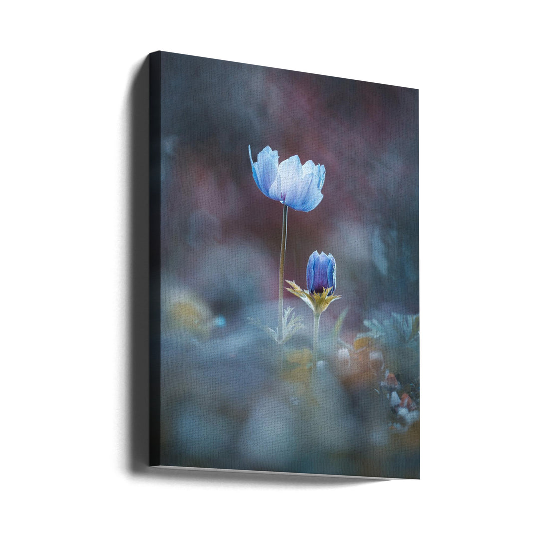 Growing Up by Fabien Bravin | Macro Floral Closeup, Large Canvas Wall Art Print | Artsy Earth