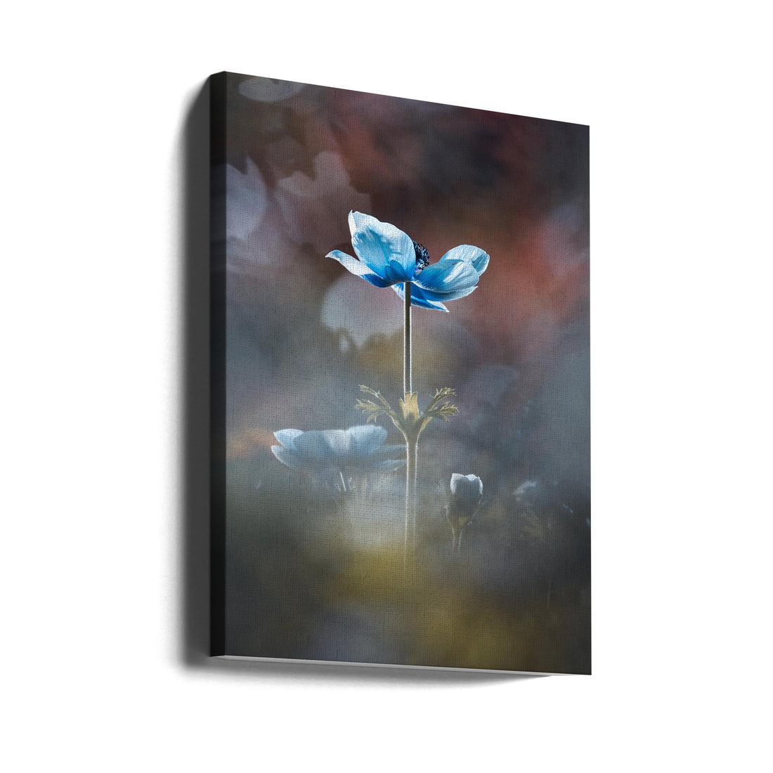 Blossom like a flower by Fabien Bravin | Painterly Floral Macro, Large Canvas Wall Art Print | Artsy Earth