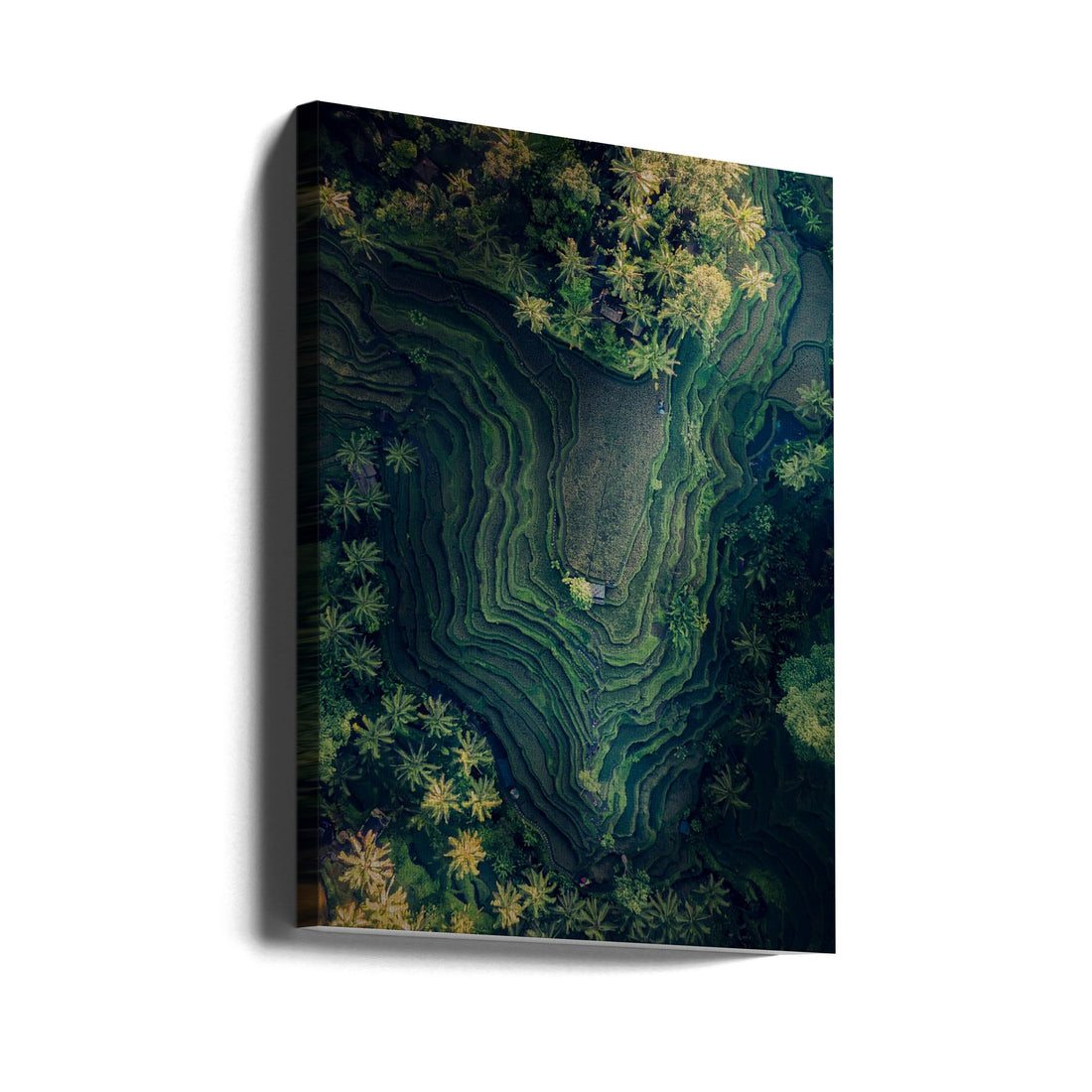 The Terracing by Fikri Muharram | Aerial Rice Terraces, Large Canvas Wall Art Print | Artsy Earth