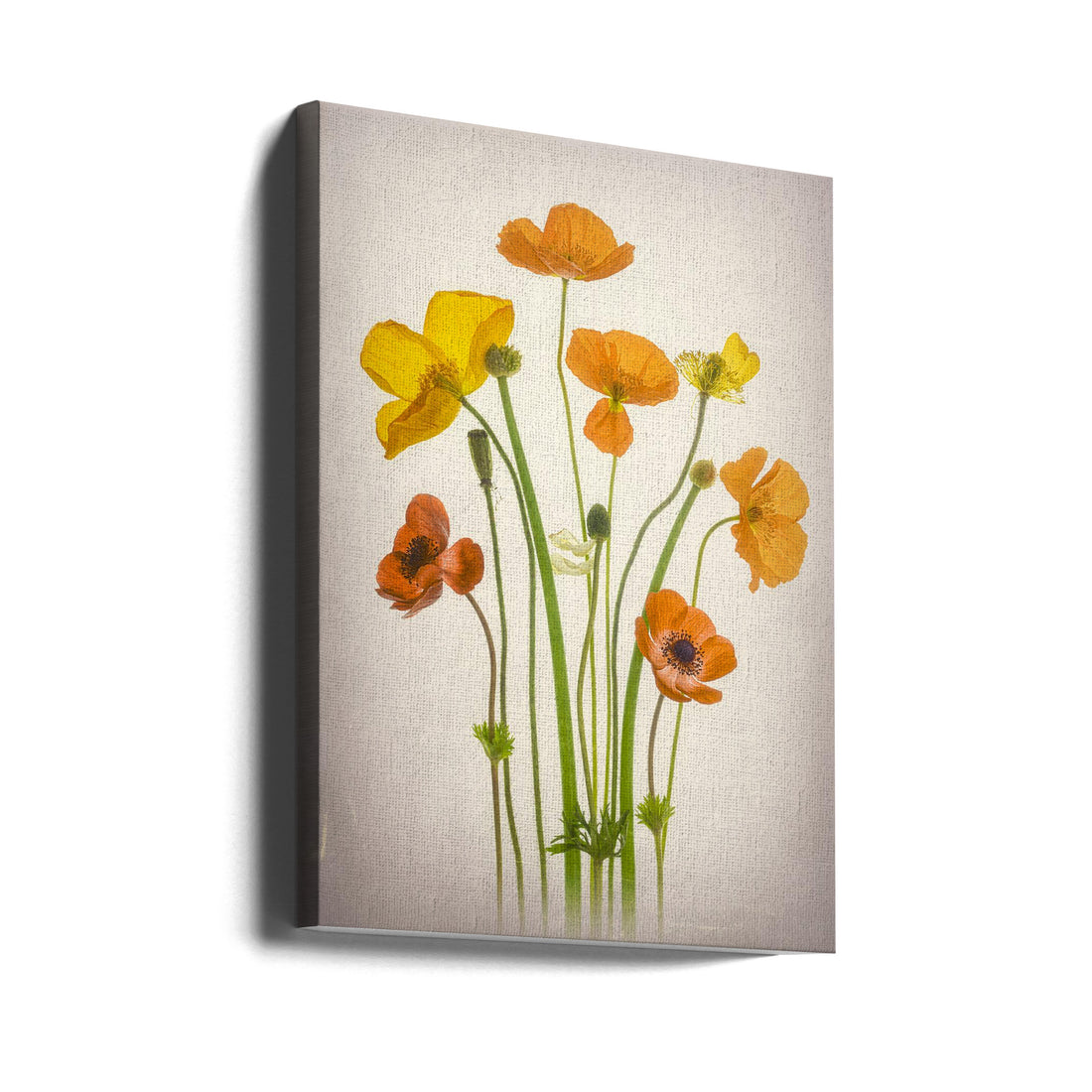 Delightful Poppies by Lydia Jacobs | Botanical Floral Bouquet, Large Canvas Wall Art Print | Artsy Earth