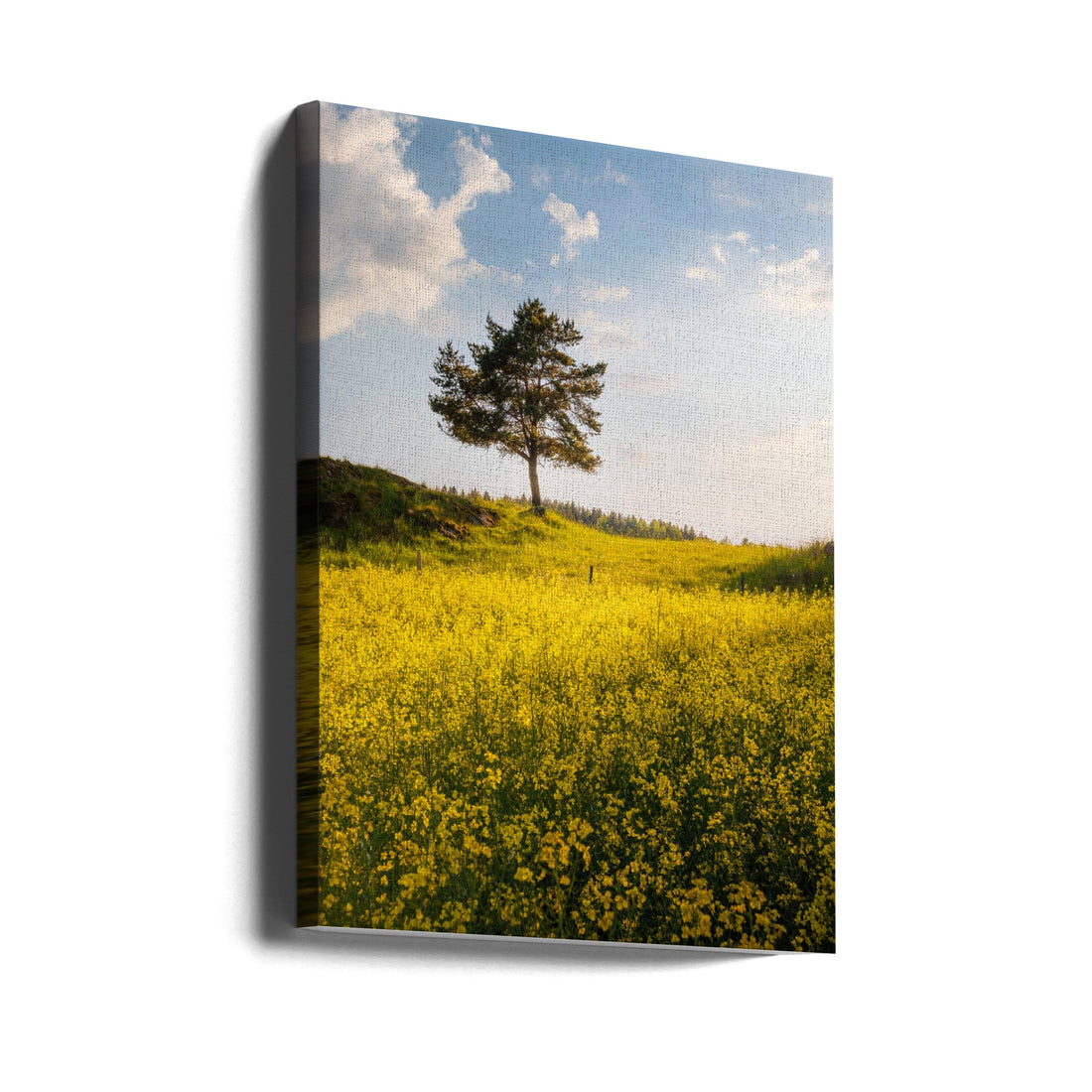 King of the hill by Christian Lindsten | Lonely Tree Landscape, Large Canvas Wall Art Print | Artsy Earth