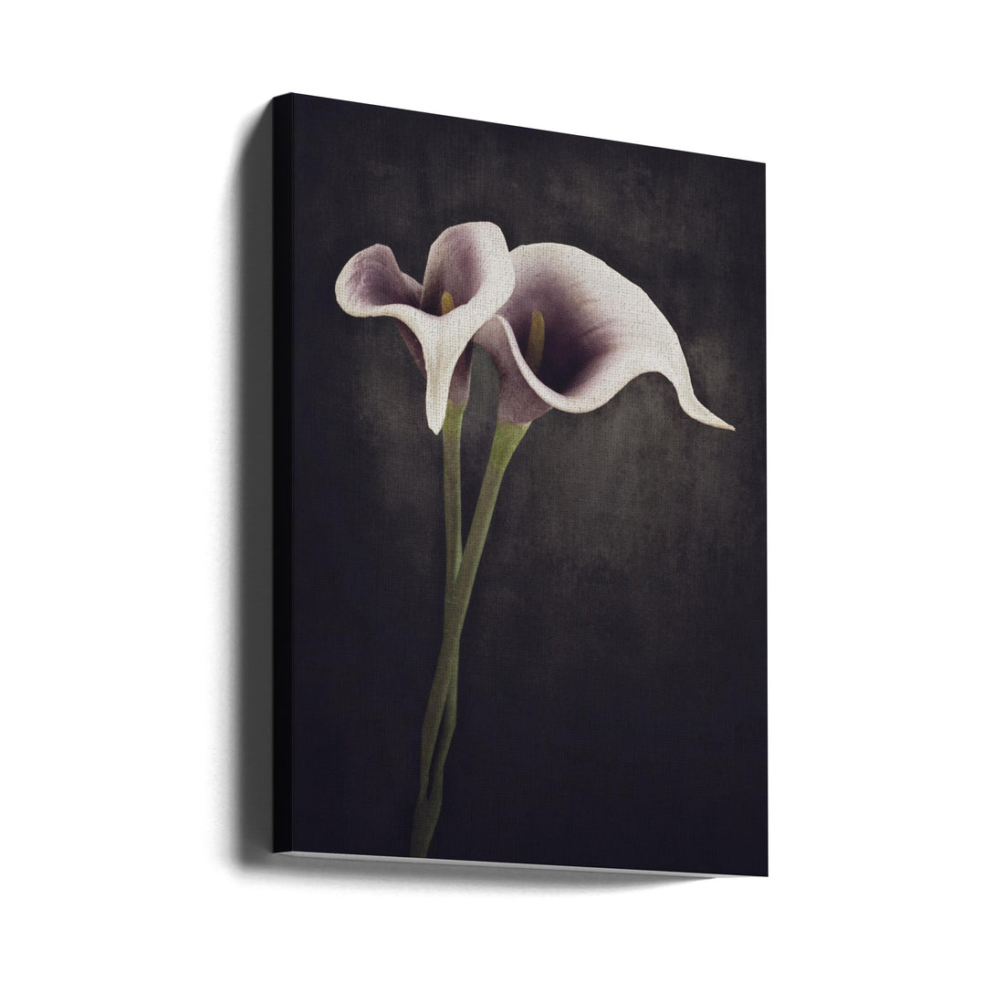 Bonded by Cicek Kiral | Dark Floral Macro, Large Canvas Wall Art Print | Artsy Earth