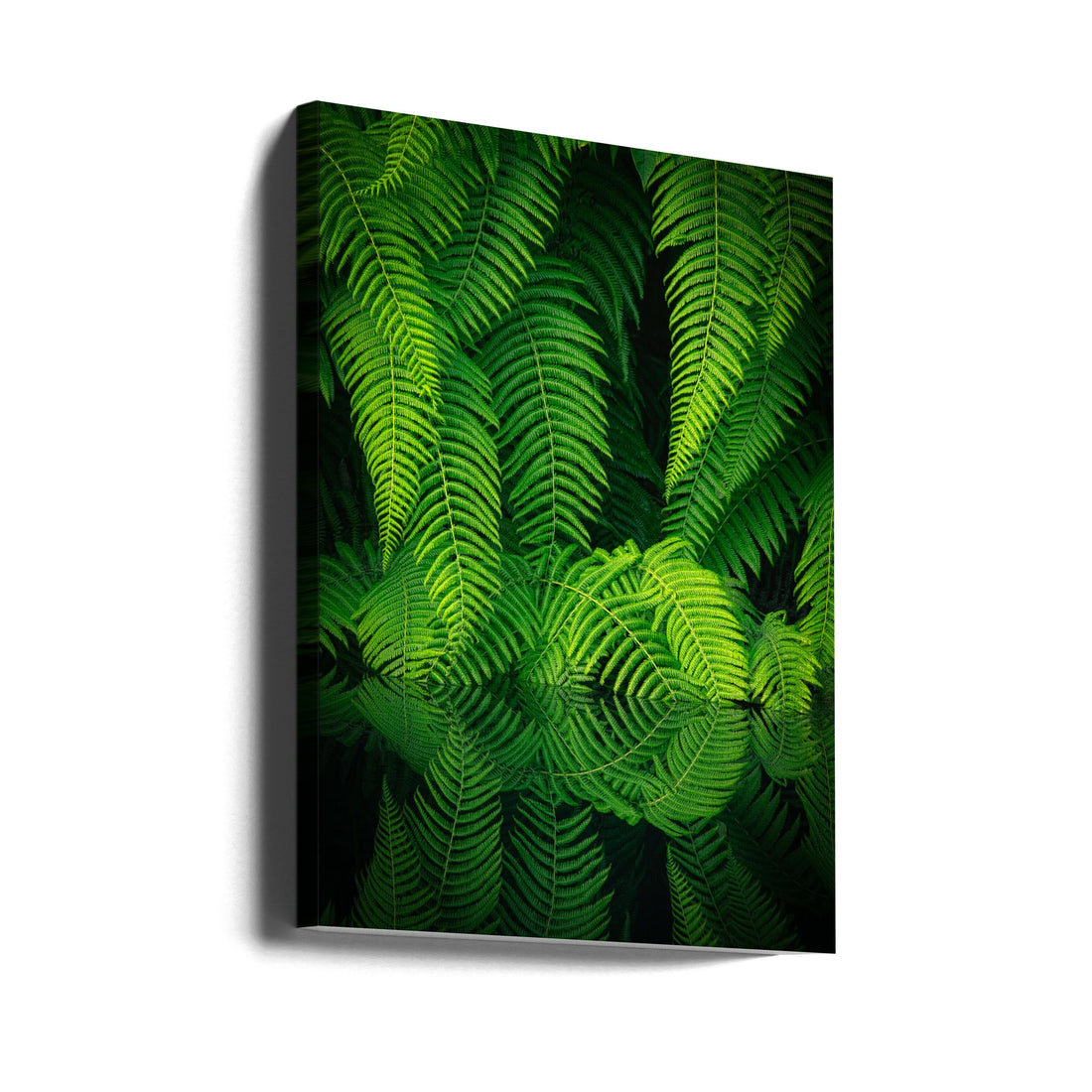 Beauty In Nature by Takeshi Mitamura | Botanical Green Reflection, Large Canvas Wall Art Print | Artsy Earth