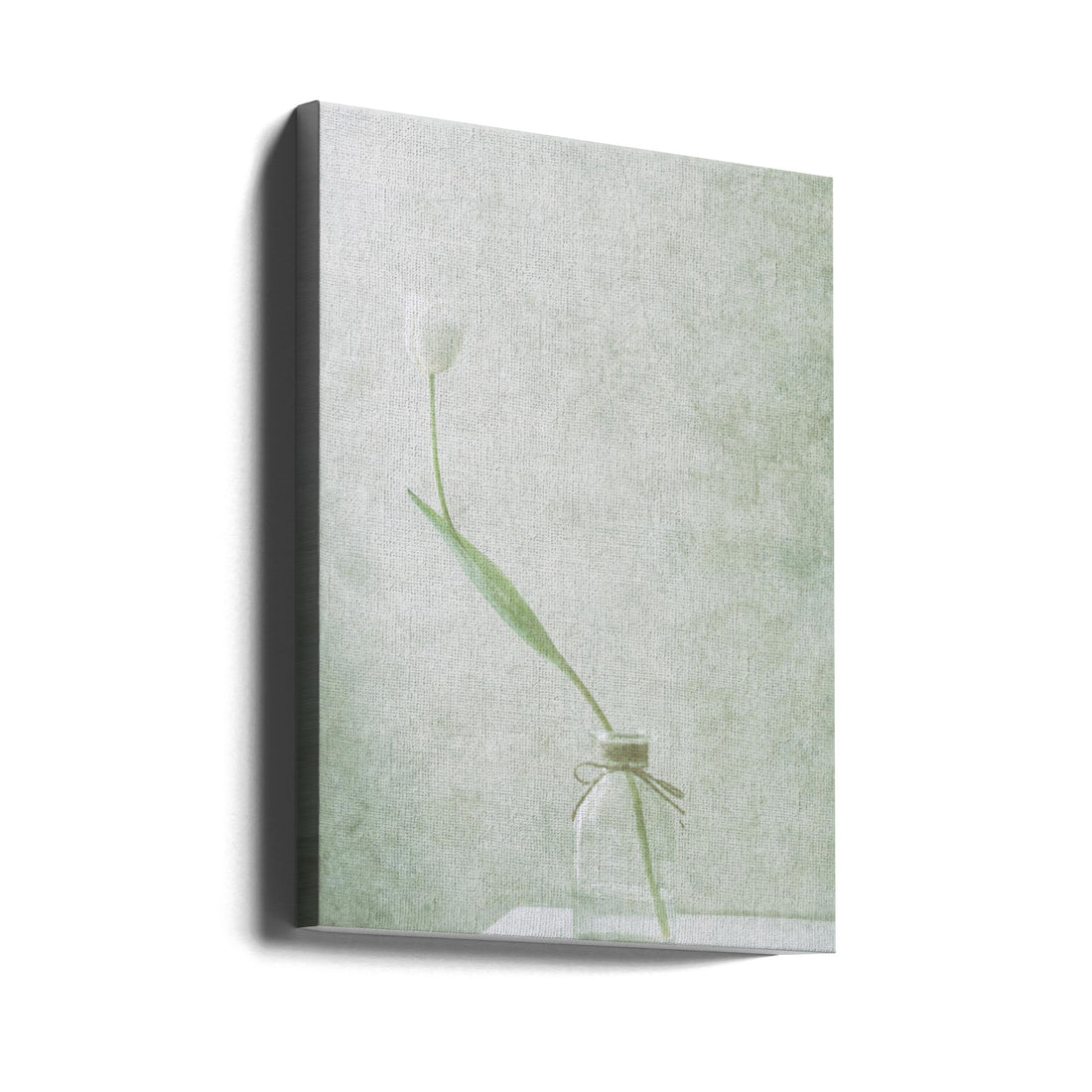 Ephemeral White by Delphine Devos | Botanical Still Life, Large Canvas Wall Art Print | Artsy Earth