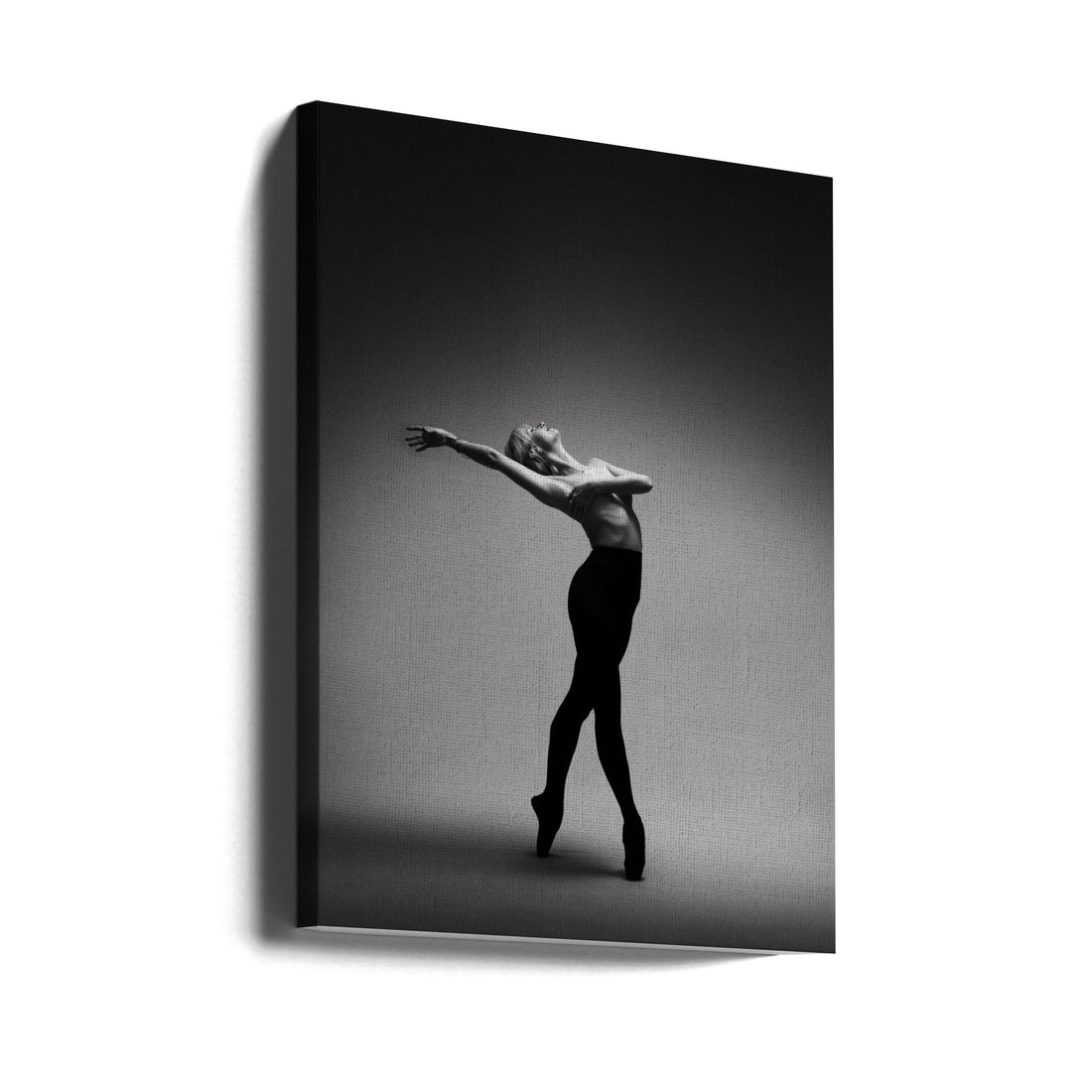 Ballet Dancer Pose by Laura Benvenuti | Fine Art Dance Portrait, Large Canvas Wall Art Print | Artsy Earth