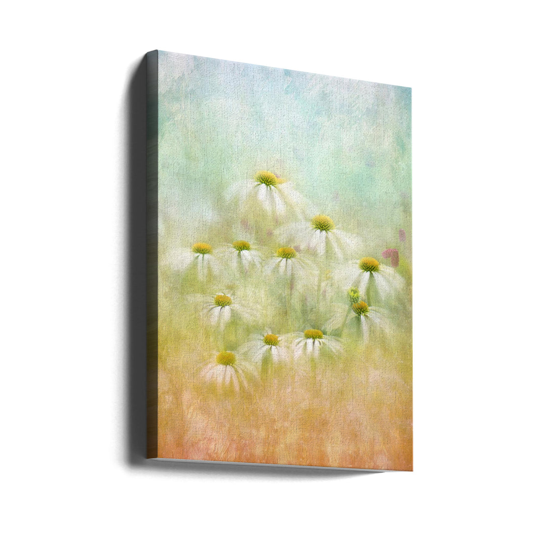 Subtle Summer by Jacky Parker | Dreamy Floral Haze, Large Canvas Wall Art Print | Artsy Earth