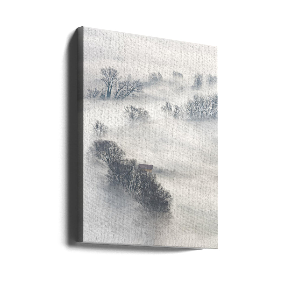 Trees in the fog by Marco Galimberti | Foggy Winter Landscape, Large Canvas Wall Art Print | Artsy Earth