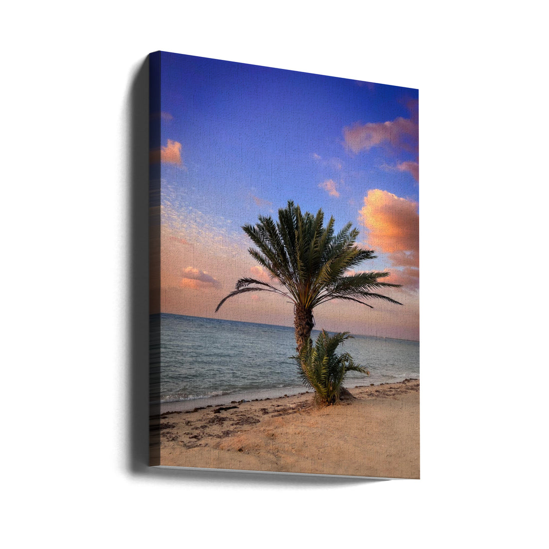 Palm Beach by Saleem G Alfidi | Tropical Paradise Beach, Large Canvas Wall Art Print | Artsy Earth