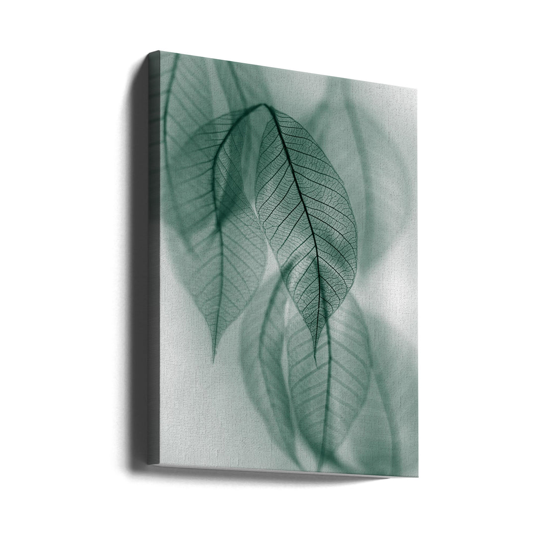 Delicate Leaf Macro by Shihya Kowatari | Botanical Close-up Elegance, Large Canvas Wall Art Print | Artsy Earth