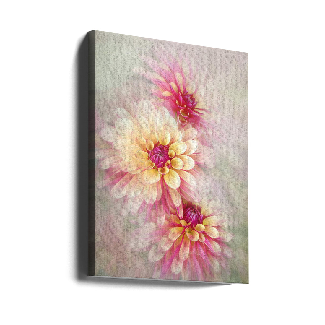 Surreal Floral Trio by Jacky Parker | Dreamy Botanical Art, Large Canvas Wall Art Print | Artsy Earth