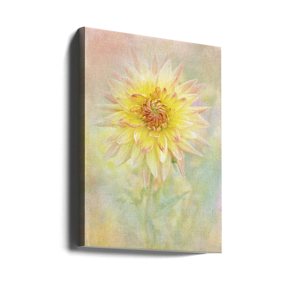 Lemon Spritz by Jacky Parker | Yellow Floral Bloom, Large Canvas Wall Art Print | Artsy Earth