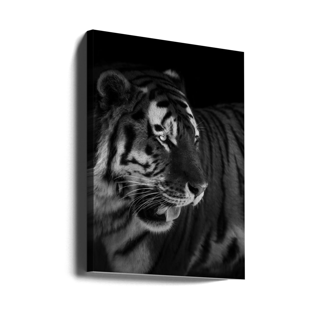 The King by Alex Zhao | Lion Portrait Africa, Large Canvas Wall Art Print | Artsy Earth