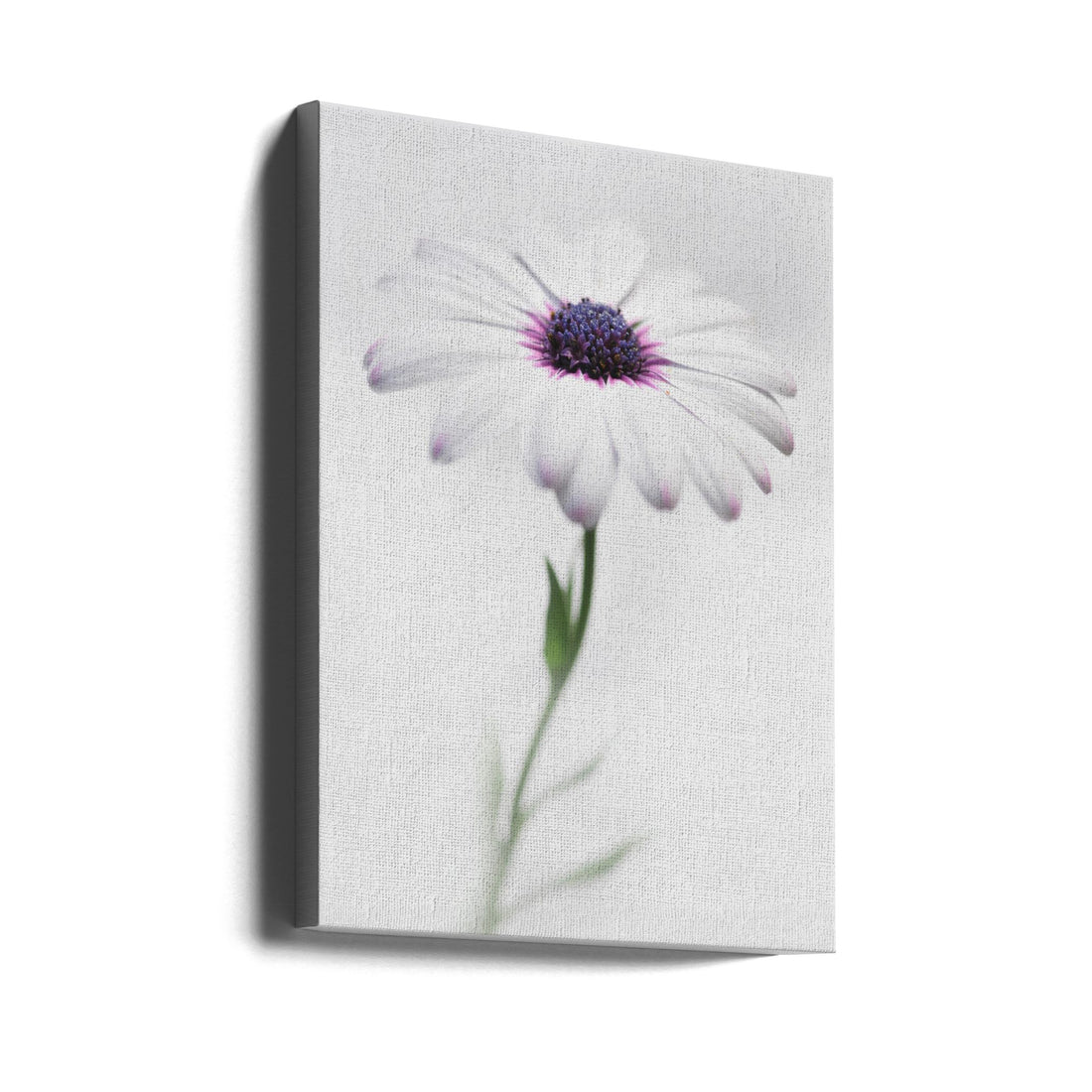 In my garden by Antonio Grambone | Botanical Floral Macro, Large Canvas Wall Art Print | Artsy Earth