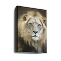 Portrait of a Young Male Lion by Linda D Lester | Wildlife Lion Portrait, Large Canvas Wall Art Print | Artsy Earth