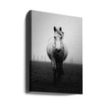 Confidence by Christophe Staelens | Black And White Horse, Large Canvas Wall Art Print | Artsy Earth