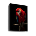 Portrait of Scarlet Macaw by Andi Halil | Colorful Bird Wildlife, Large Canvas Wall Art Print | Artsy Earth