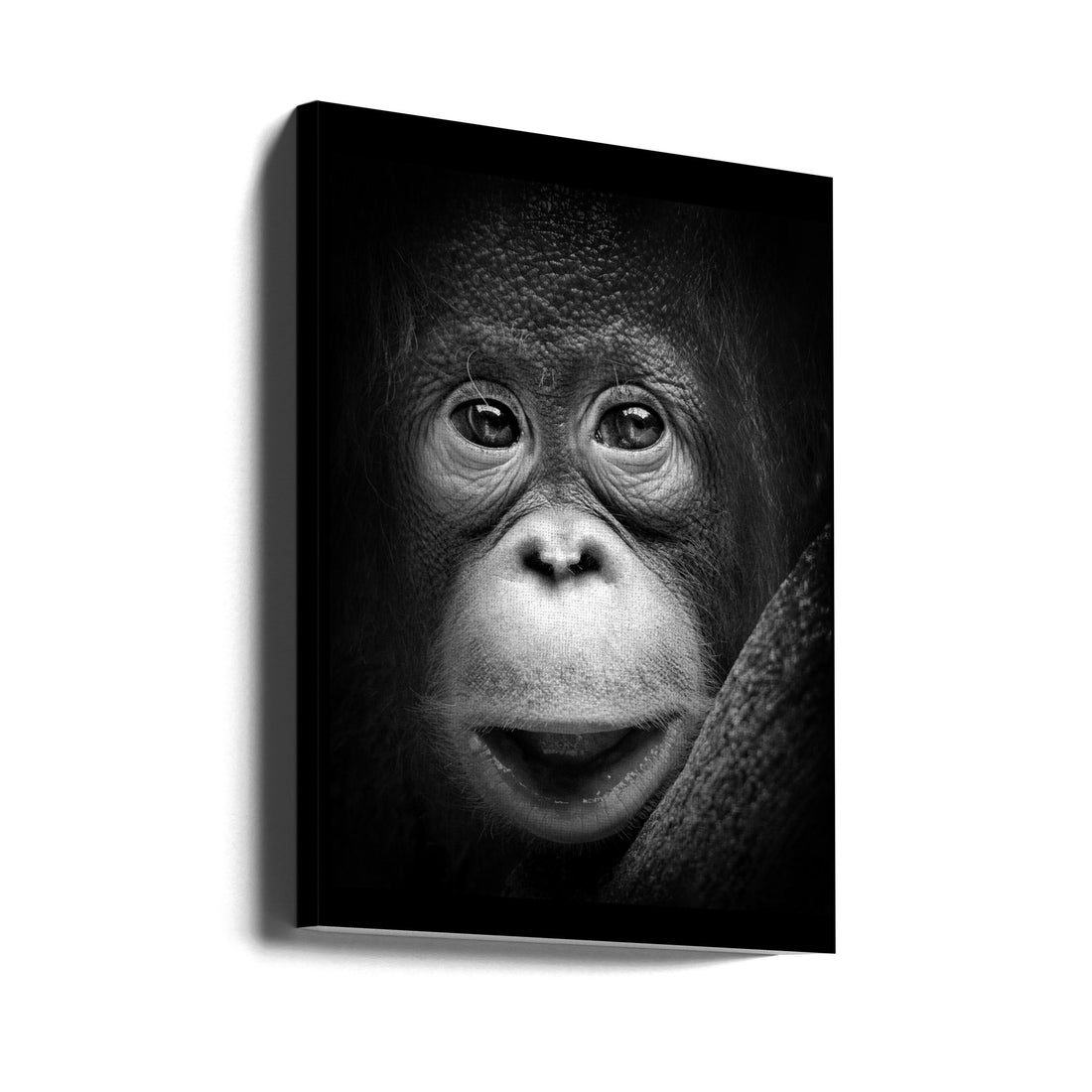 Innocent Primate by Antonyus Bunjamin (abe) | Animal Portrait Monochrome, Large Canvas Wall Art Print | Artsy Earth