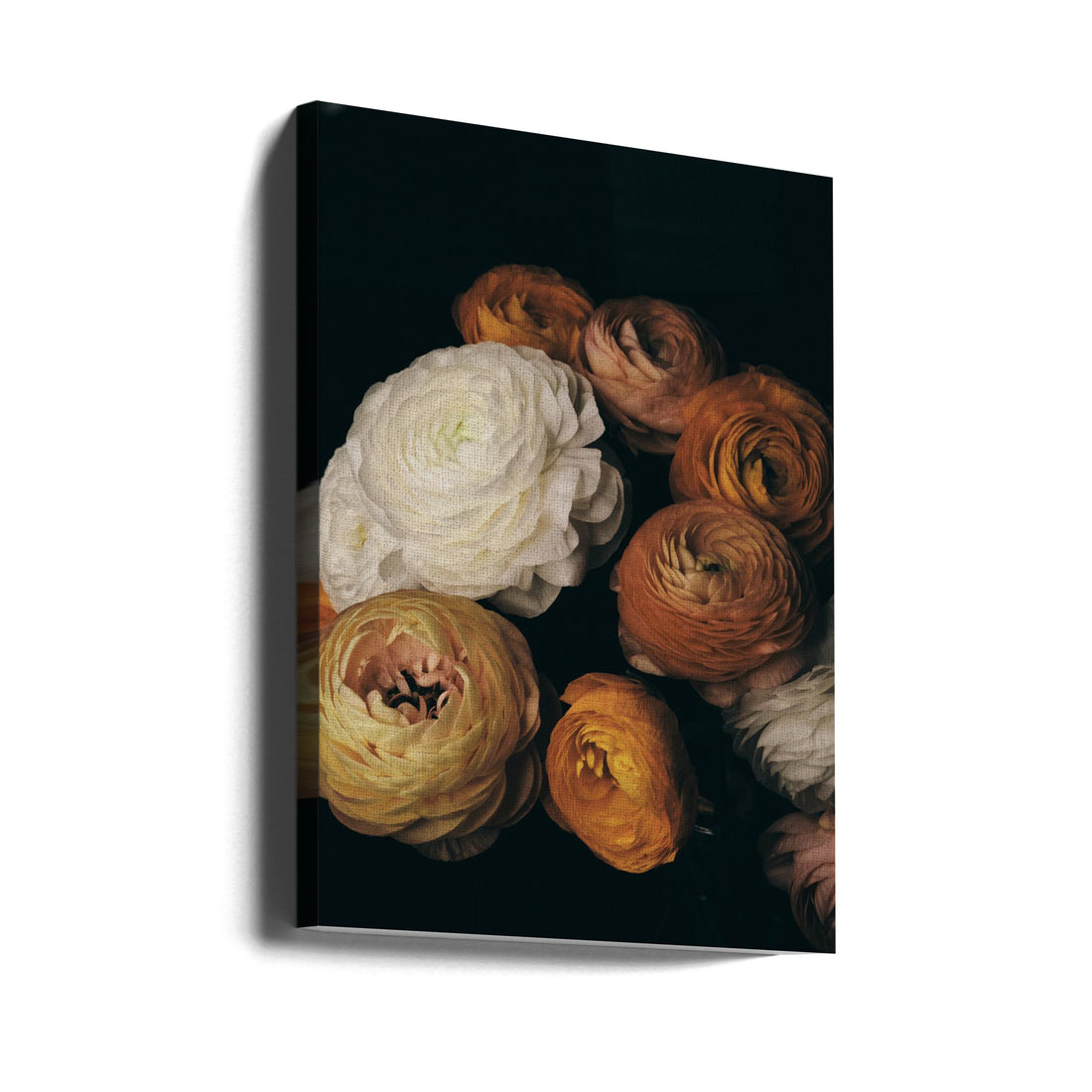 Dark Ranunculus Flora by Figuranyc Photography | Low Key Botanical, Large Canvas Wall Art Print | Artsy Earth