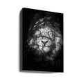 Being Watched by Mike Taylor | Black And White Lion Portrait, Large Canvas Wall Art Print | Artsy Earth