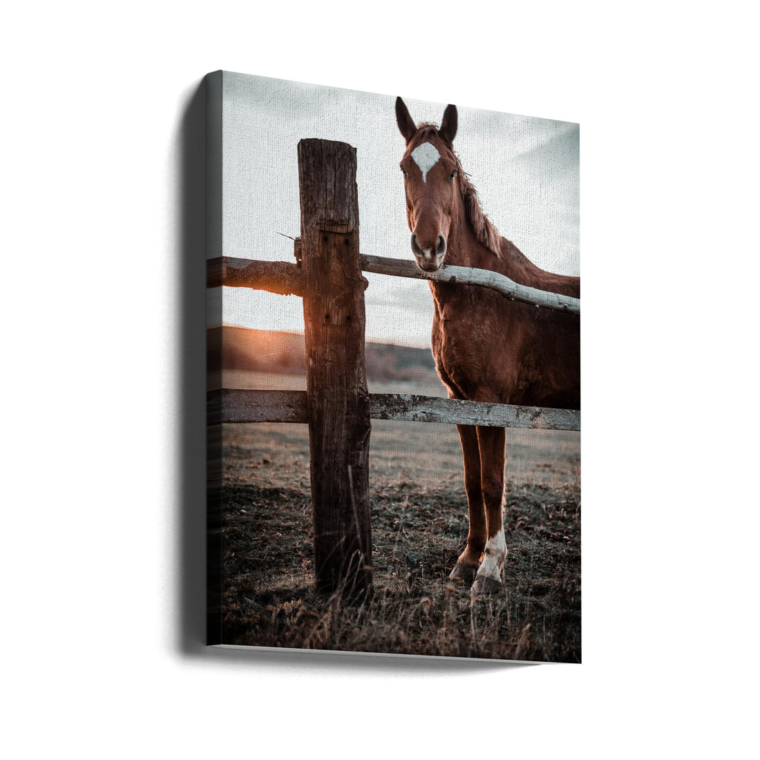 Horse Farm in Slovakia by Gabriel Jakab | Rural Horse Farm, Large Canvas Wall Art Print | Artsy Earth