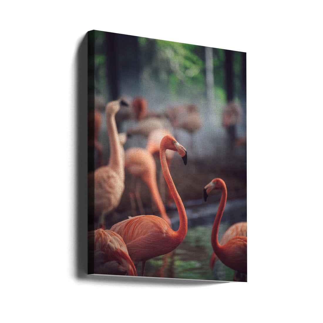 Pink Flamingo Birds by Dayvee | Water Birds Group, Large Canvas Wall Art Print | Artsy Earth