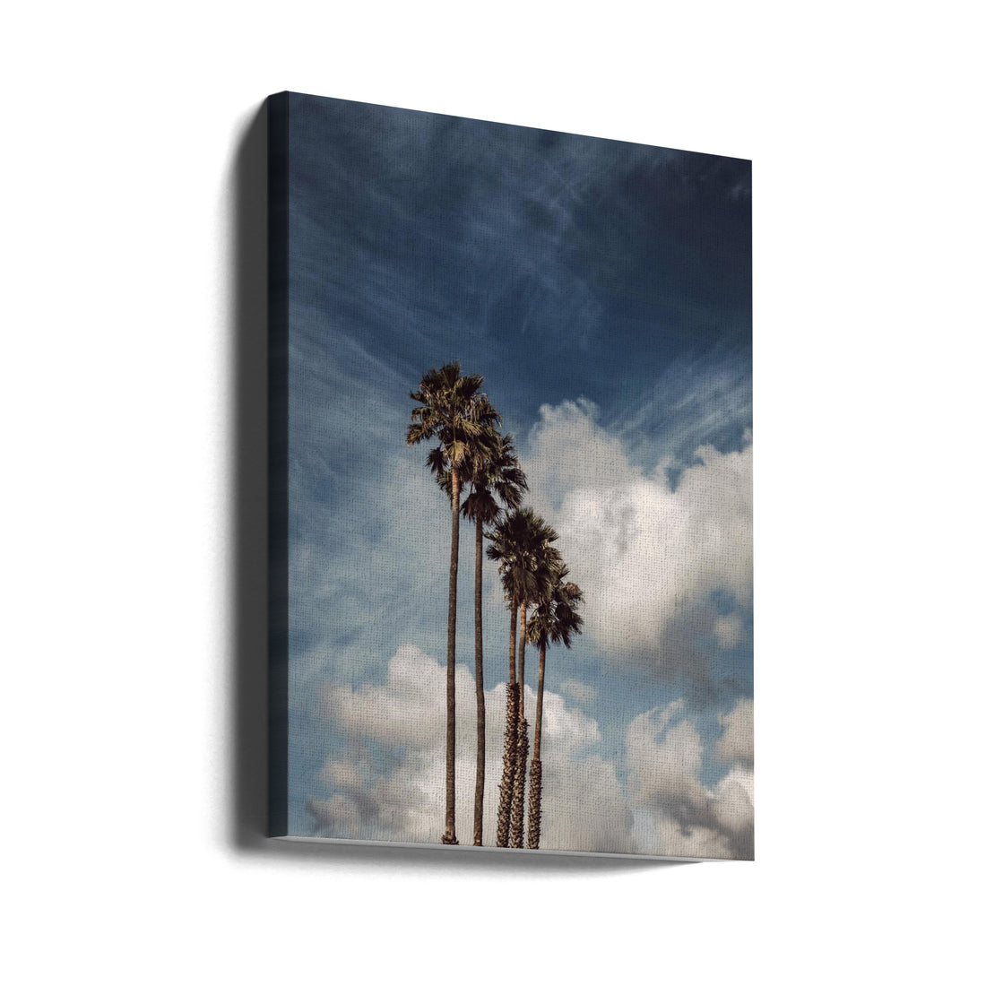 Palms and Clouds by Tim Mossholder | Tropical Paradise Landscape, Large Canvas Wall Art Print | Artsy Earth