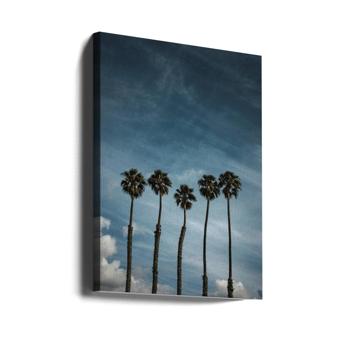 Five Palms by Tim Mossholder | Tropical Paradise Landscape, Large Canvas Wall Art Print | Artsy Earth