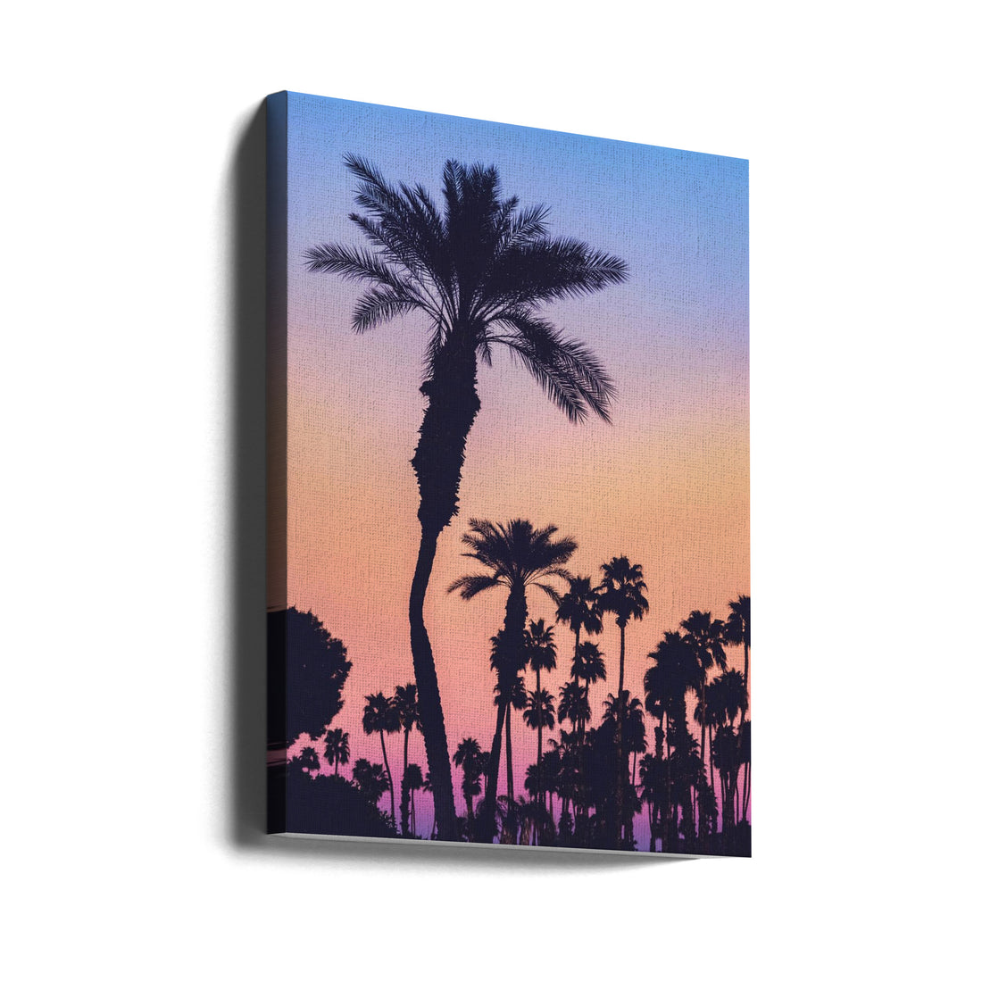 Palms at Sunset by Tim Mossholder | Tropical Landscape Colors, Large Canvas Wall Art Print | Artsy Earth