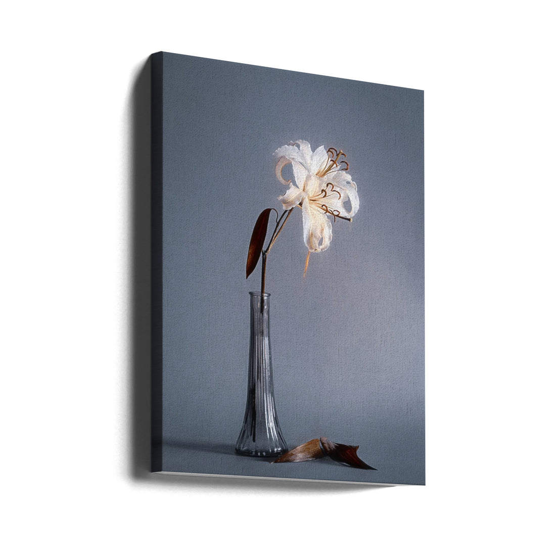 Elegant Lines by Cicek Kiral | Floral Still Life, Large Canvas Wall Art Print | Artsy Earth