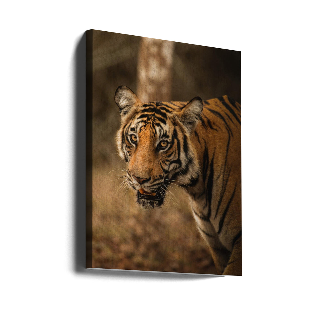 Tiger Portrait by Somnath | Wild Feline Nature, Large Canvas Wall Art Print | Artsy Earth