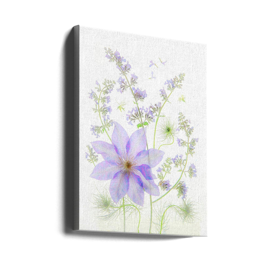 Purple Clematis by Fangping Zhou | Botanical Garden Flora, Large Canvas Wall Art Print | Artsy Earth