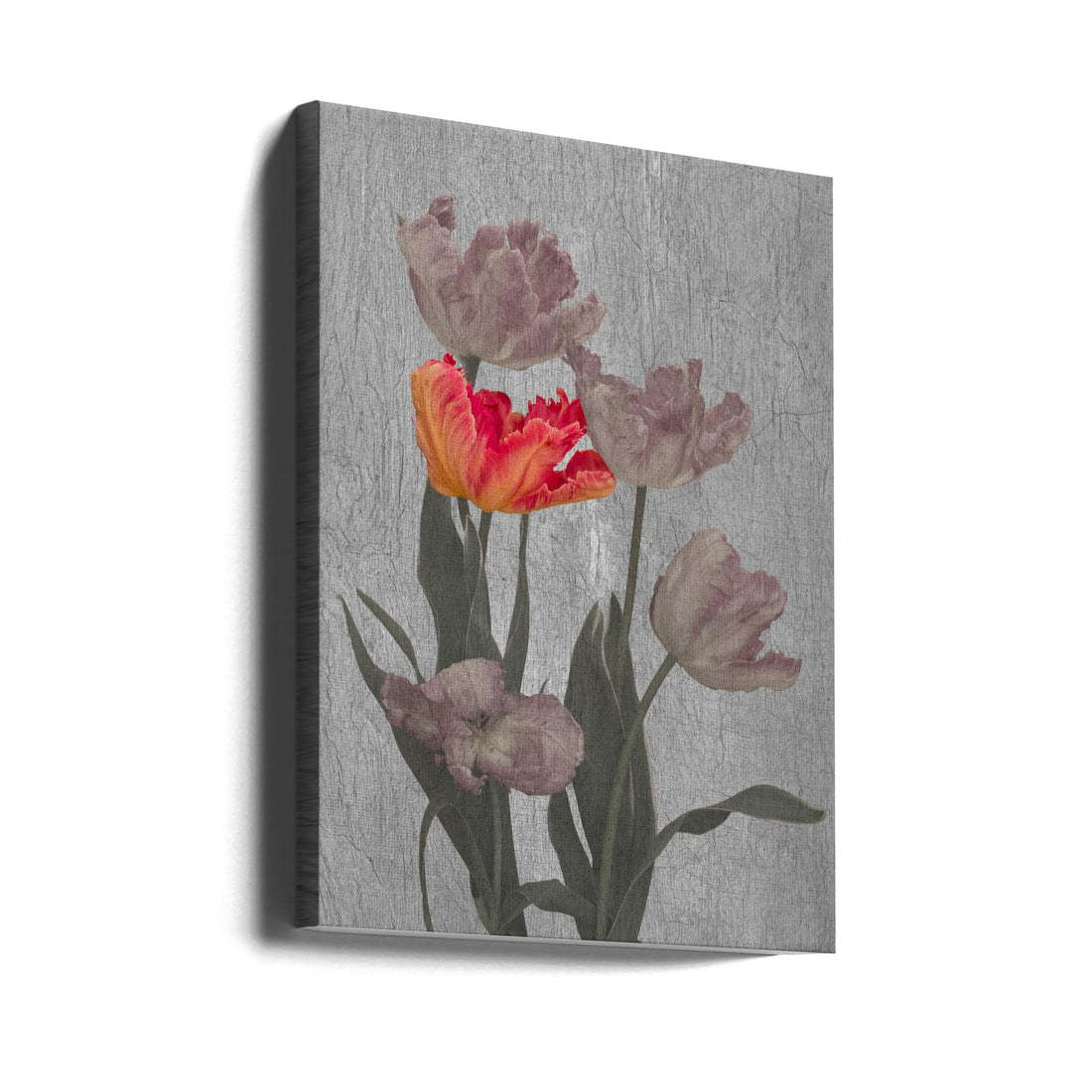 Red Tulip Bloom by Richard Urbanski | Creative Floral Botanical, Large Canvas Wall Art Print | Artsy Earth