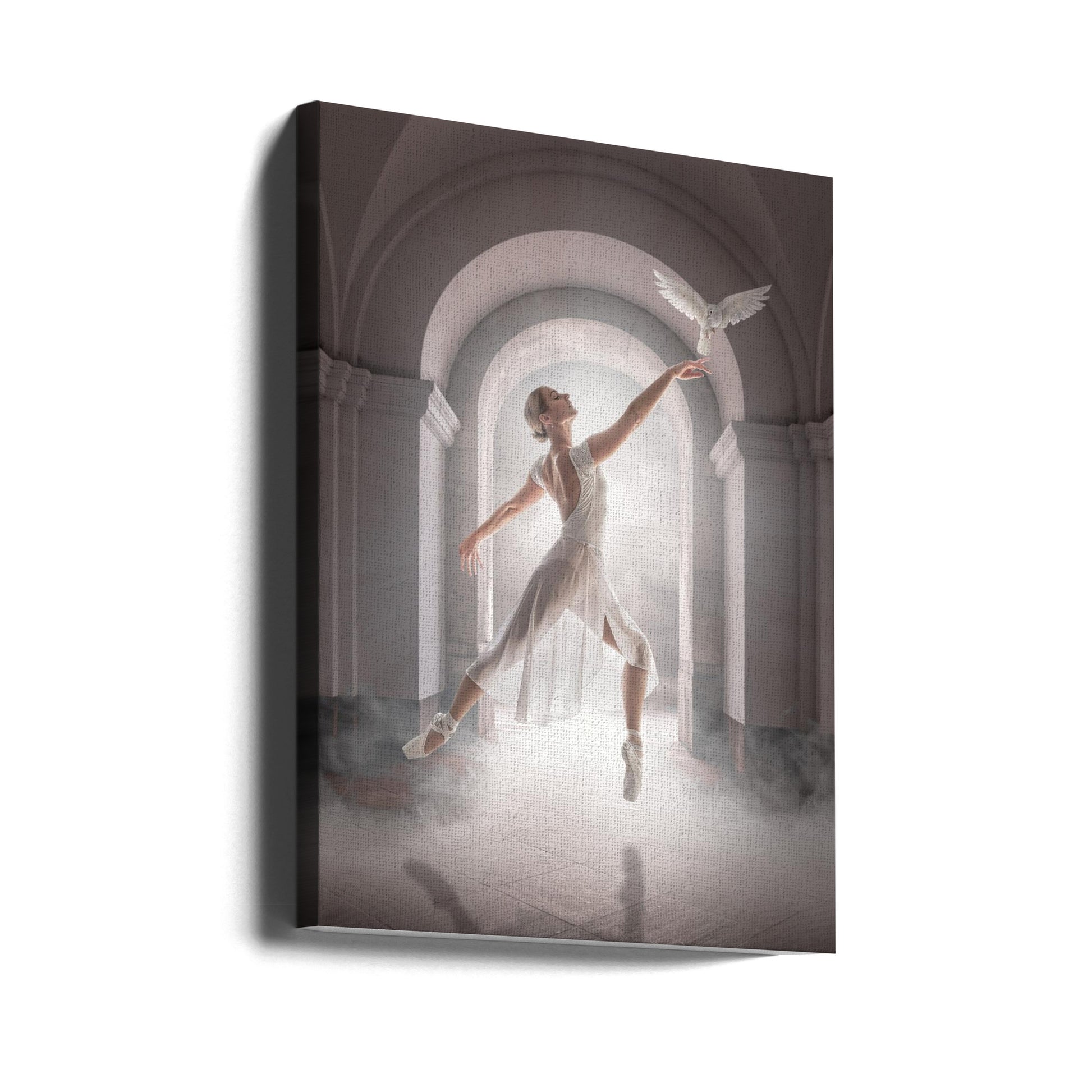 Bird Dance by Marcel Egger | Graceful Ballet Performance, Large Canvas Wall Art Print | Artsy Earth