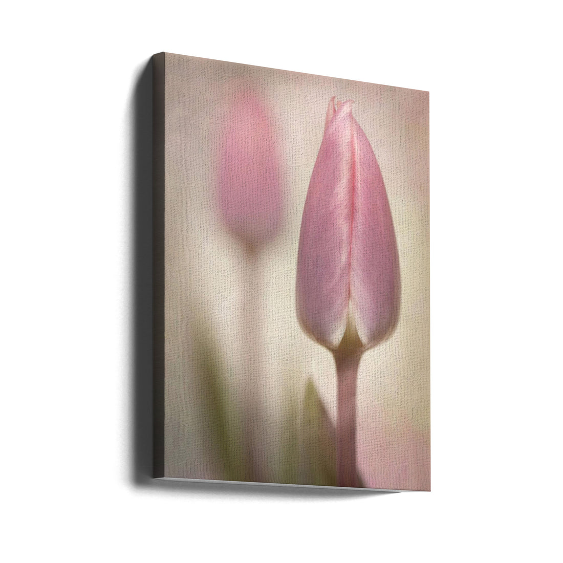 Pink Tulips by Sharon Williams | Soft Floral Botanical, Large Canvas Wall Art Print | Artsy Earth