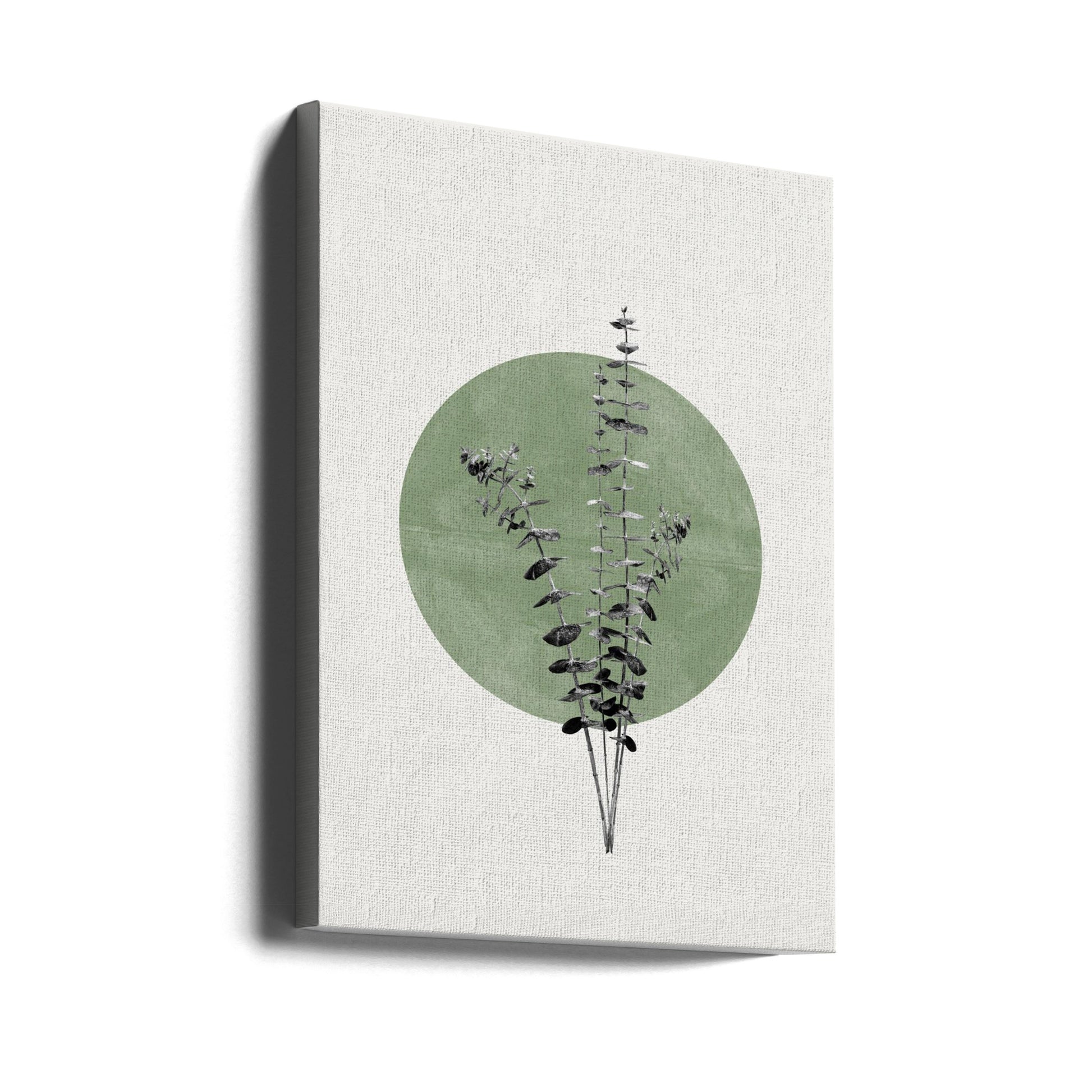 Eucalyptus and Green Moon by The Miuus Studio | Minimal Botanical Circle, Large Canvas Wall Art Print | Artsy Earth