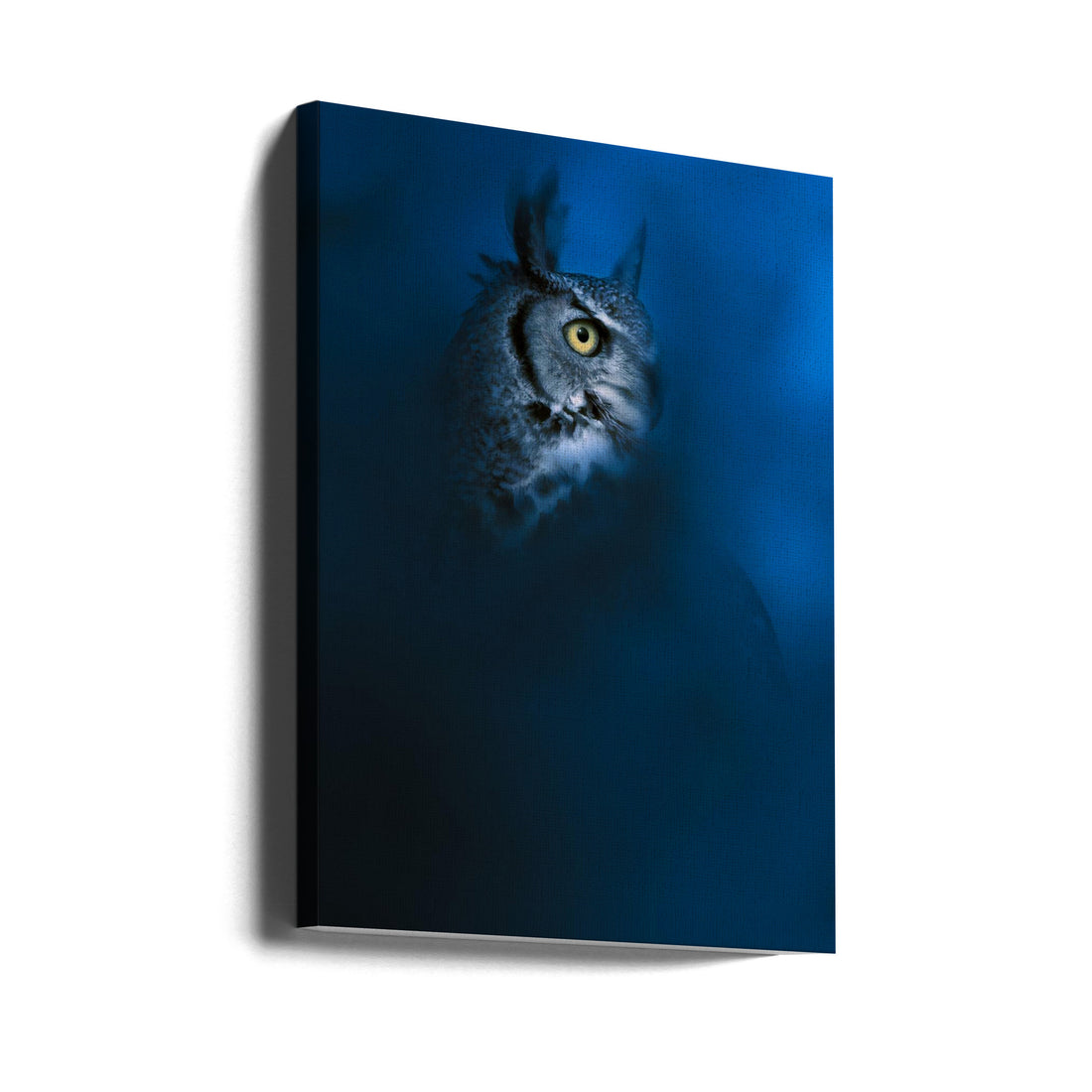 Blue Owl Eyes by Ahmed Sobhi | Animal Owl Eyes, Large Canvas Wall Art Print | Artsy Earth